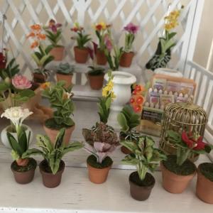 ต้นไม้ ดอกไม้จิ๋ว