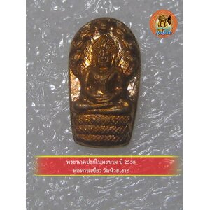 พระนาคปรกใบมะขาม ปี 2558