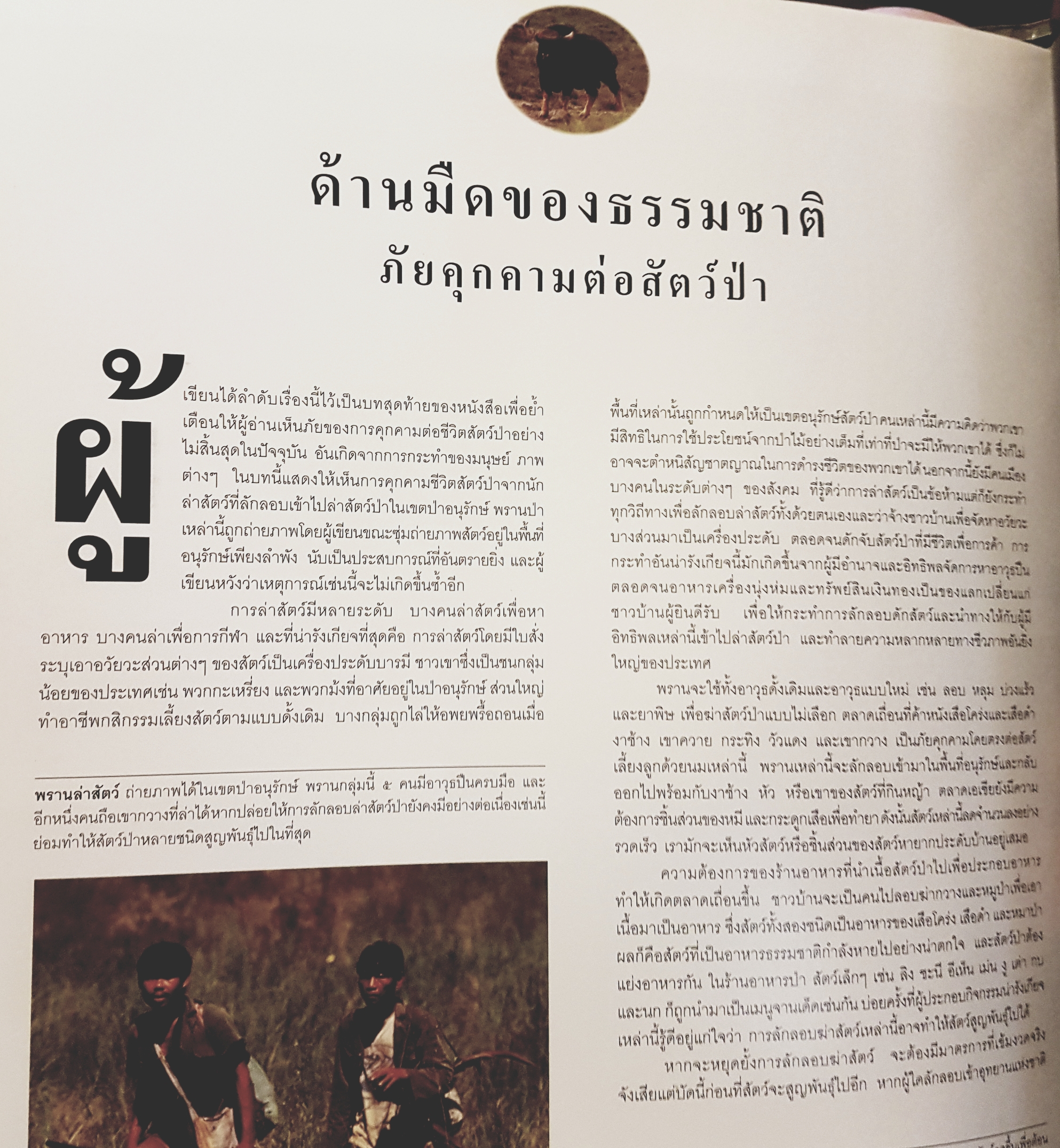 สัตว์ป่าในราชอาณาจักรไทย Wildlife in the Kingdom of Thailand