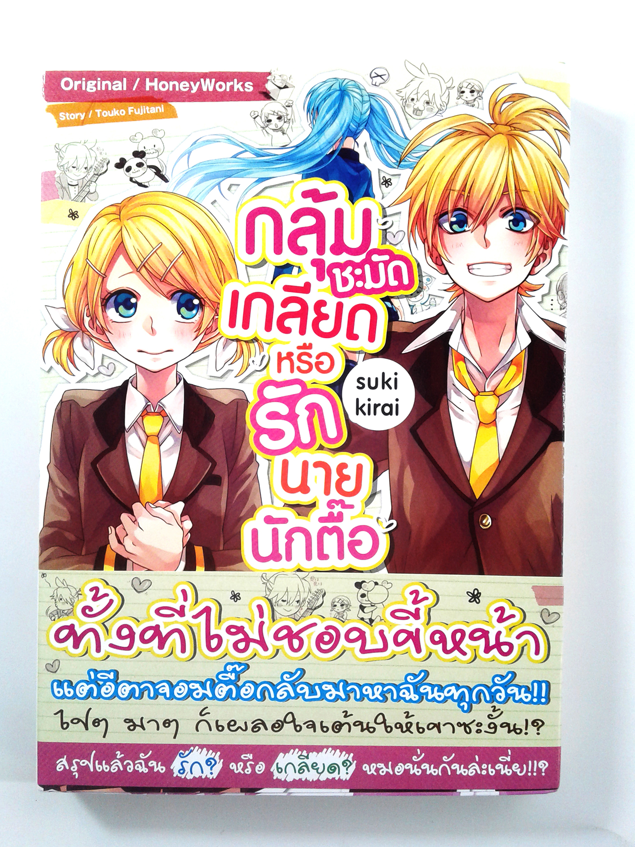 กลุ้มชะมัดเกลียดหรือรักนายนักตื๊อ นิยาย นิยายแปล ไลท์โนเวล