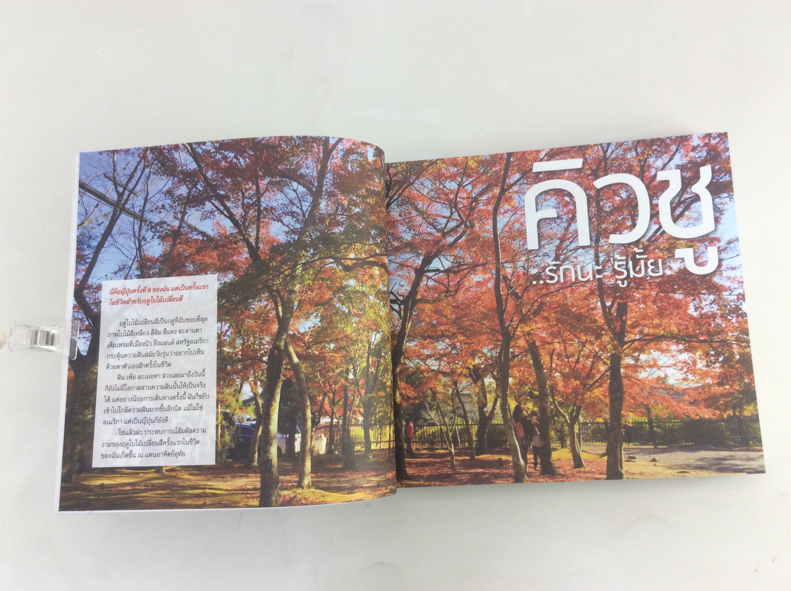 JAPAN DIARY กาลครั้งหนึ่ง เมื่อใบไม้เปลี่ยนสี หนังสือ สารคดี ท่องเทียว ญี่ปุ่น