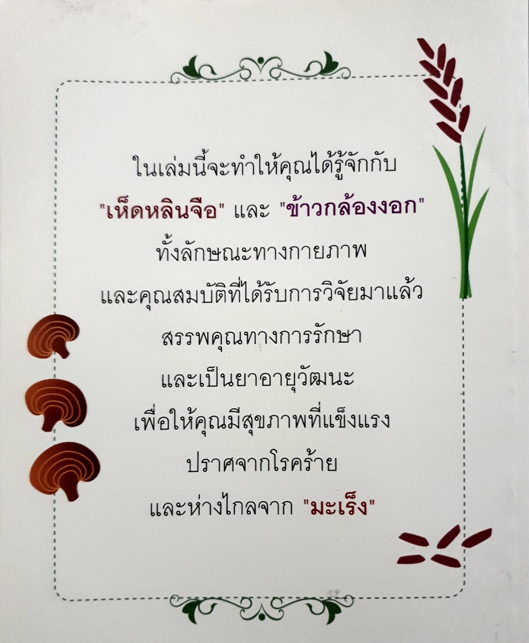 เห็ดหลินจือ และข้าวกล้องงอก ยอดอาหารต้านมะเร็ง / เพียงดาว