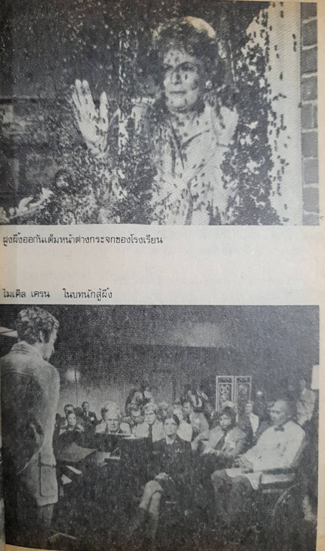 ผึ้ง (The Swarm) ผลงานของ อาร์เธอร์ เฮอร์ช็อก (Arthur Herzog)