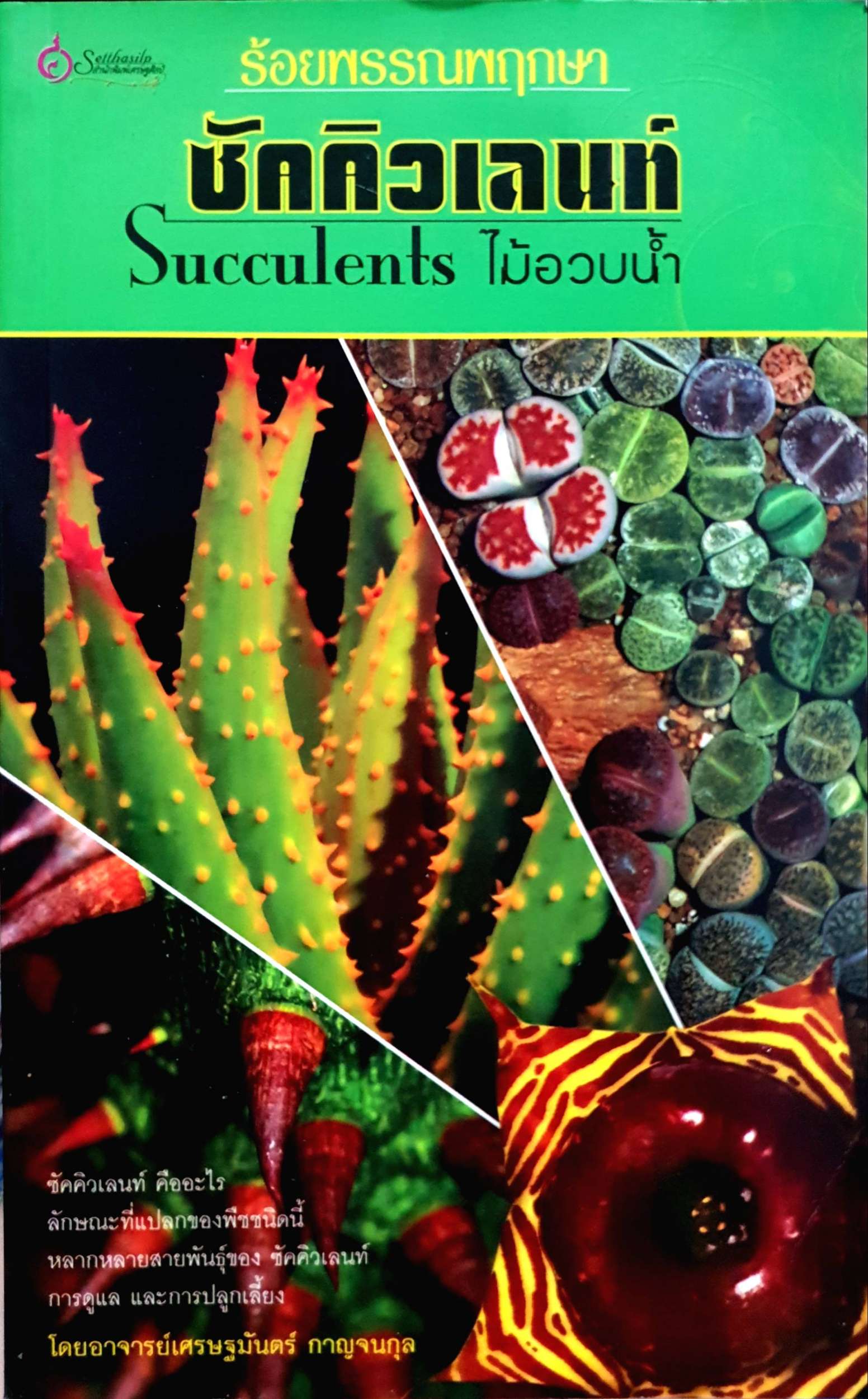 ร้อยพรรณพฤกษา ซัคคิวเลนท์