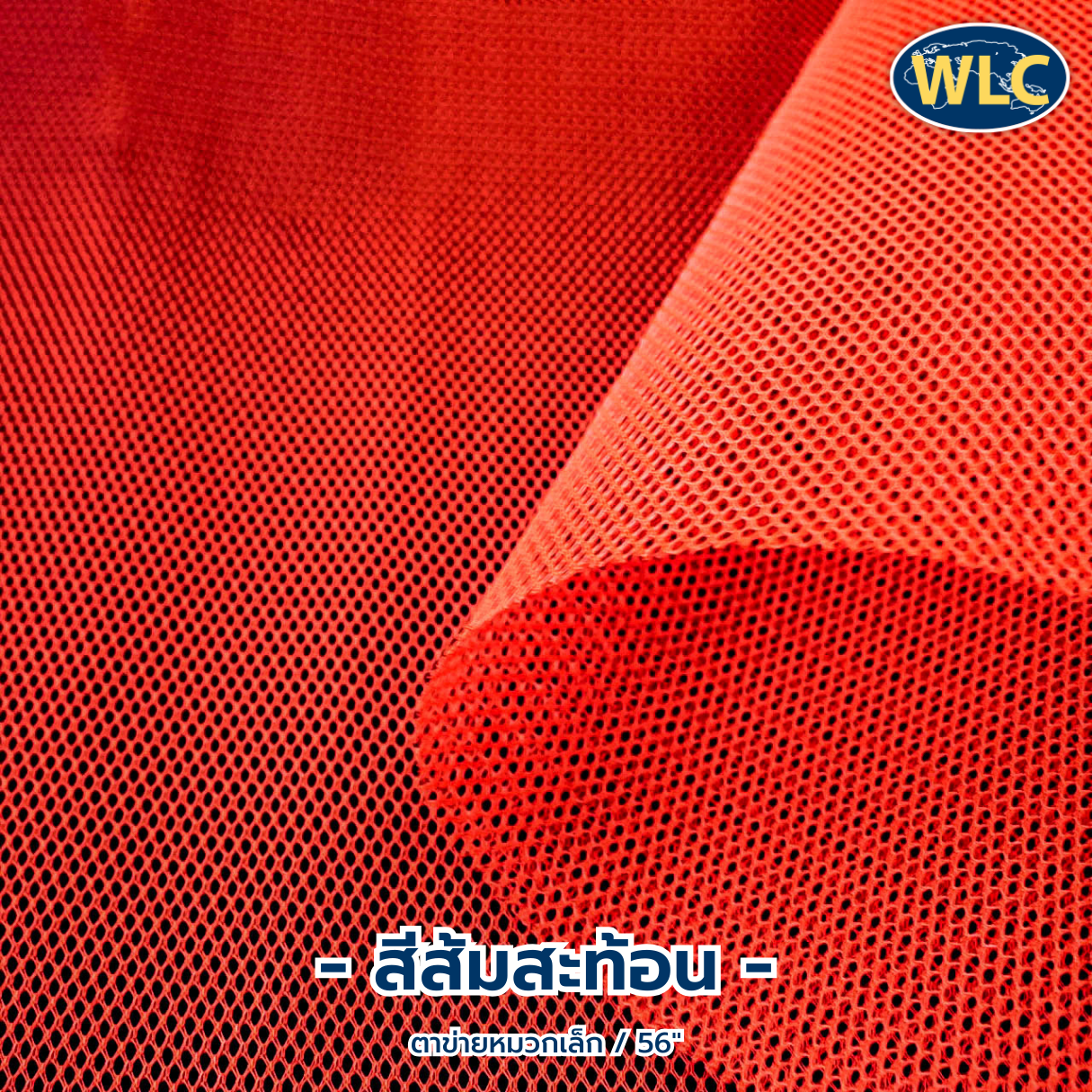 ตาข่ายหมวกเล็ก/56"