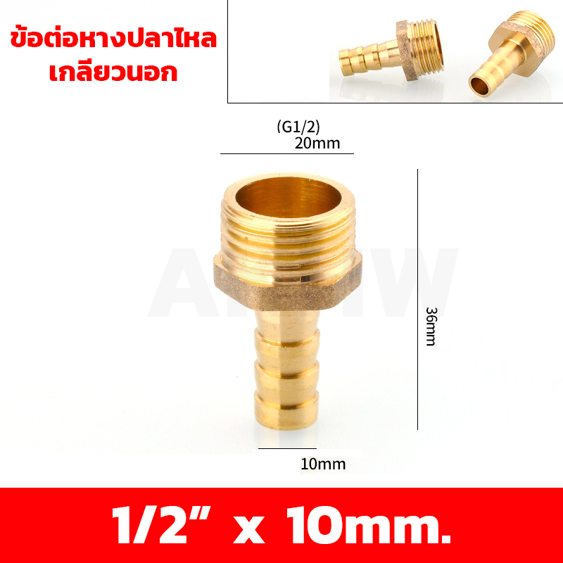 ข้อต่อหางปลาไหลเกลียวใน/เกลียวนอก ทองเหลือง KingsMan ขนาด 1/2นิ้ว 3/4นิ้ว [ขายปลีก/ส่ง]