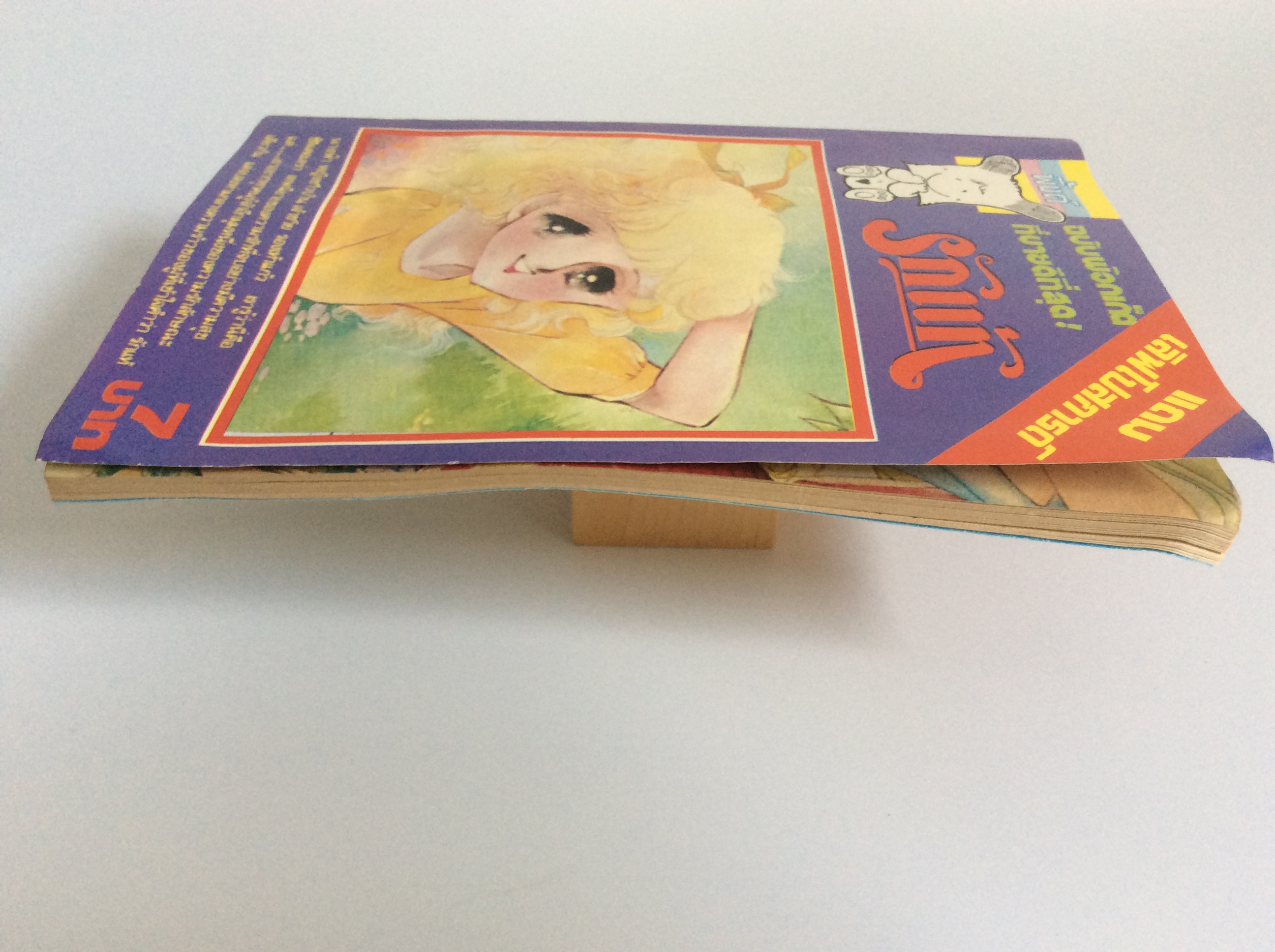 รักแท้ การ์ตูน การ์ตูนหายาก หนังสือสะสม หนังสือเก่า หนังสือ