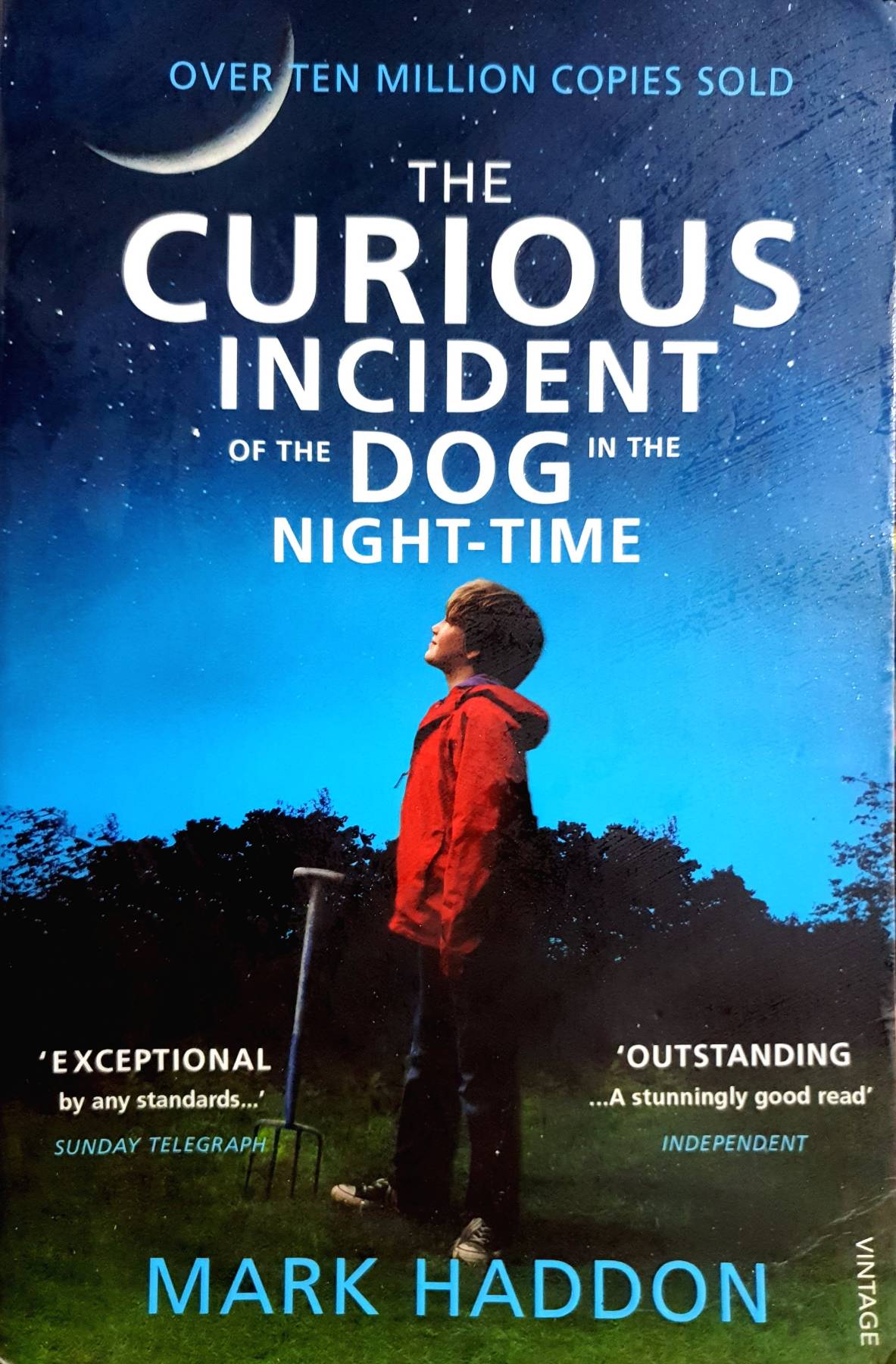 The Curious Incident of the Dog in the Night-time