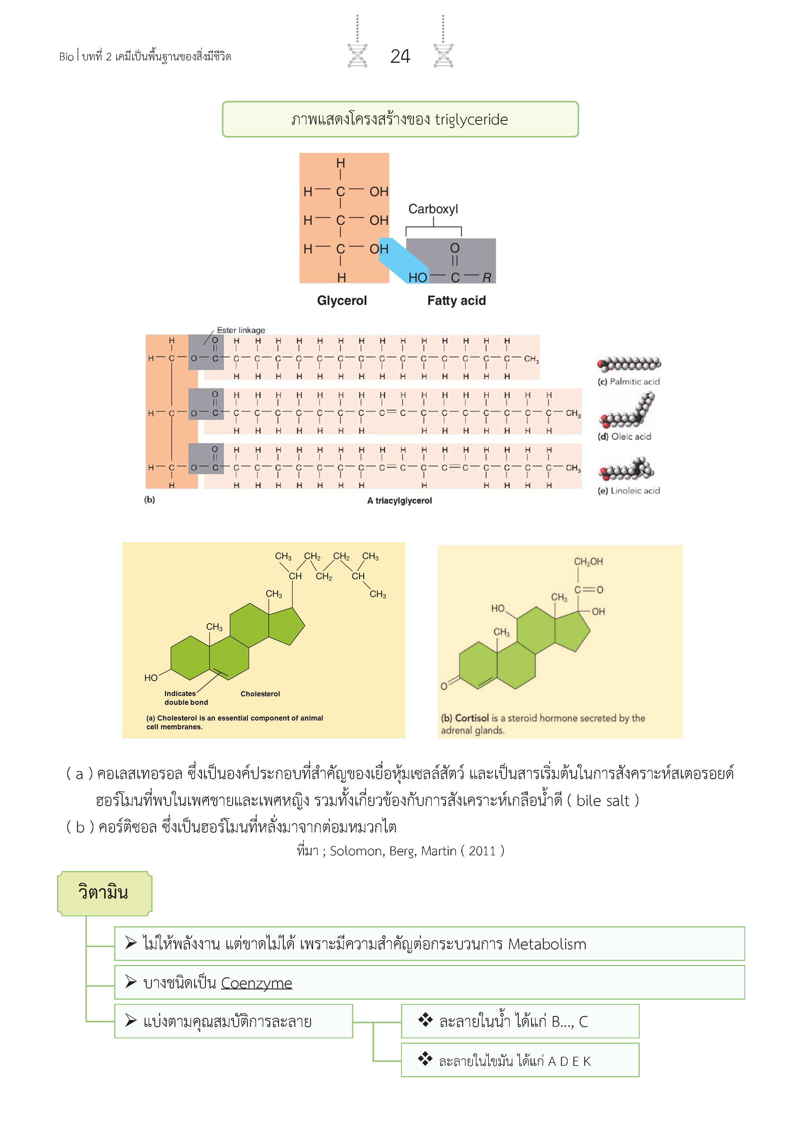 สรุปเข้ม ชีววิทยา เล่ม 1 (พิมพ์ 4 สี)