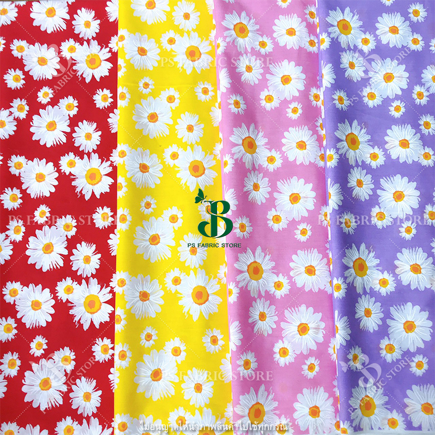 ลายเดซี่ DAISY
