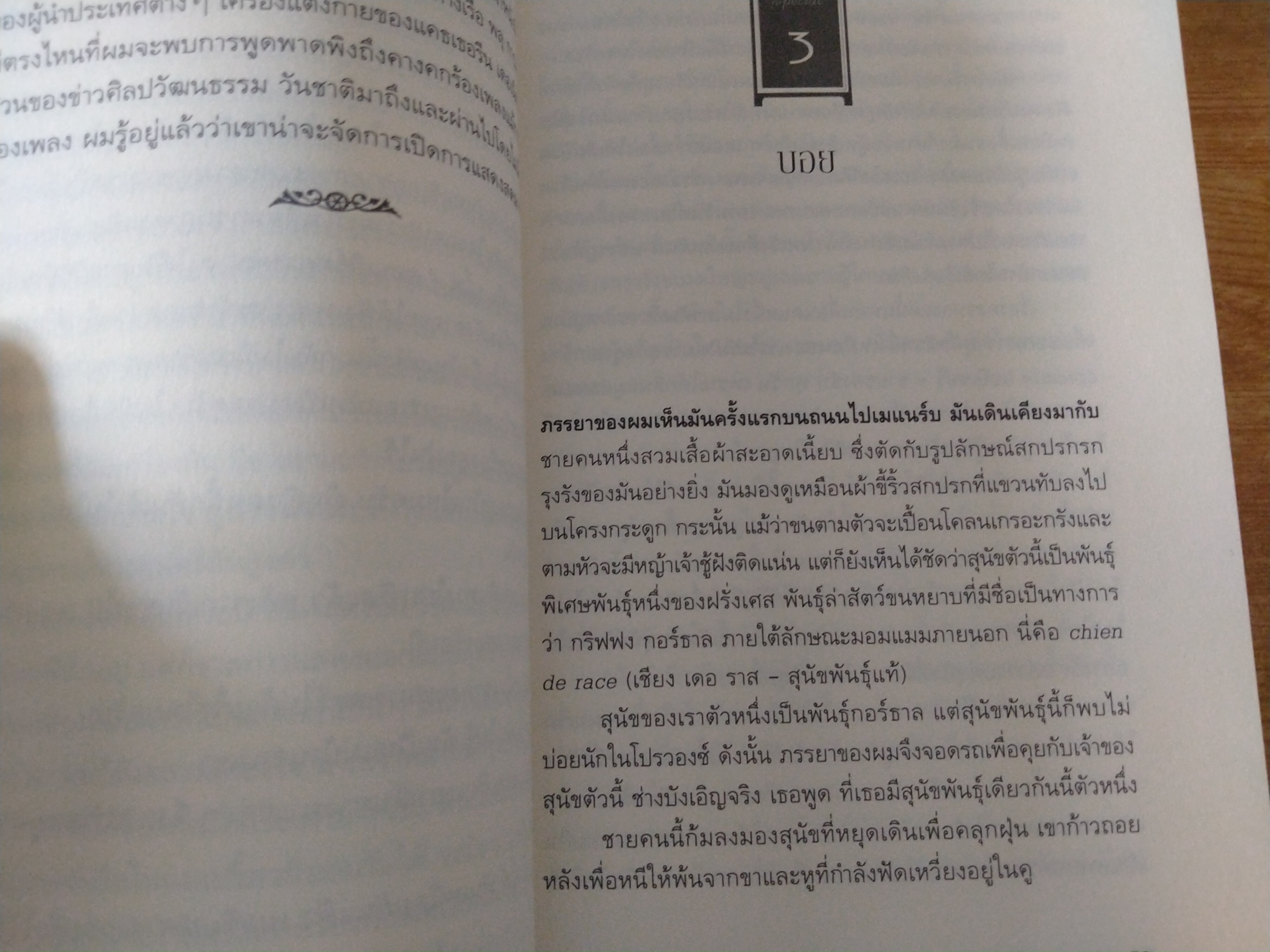 แสนสุขเสมอในโปรวองซ์