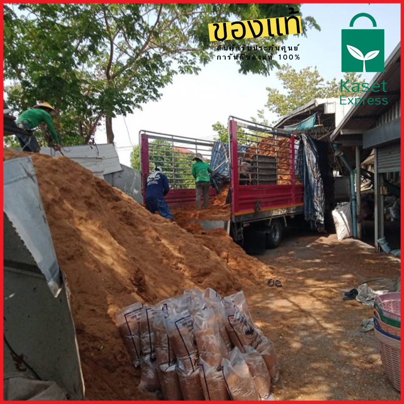 จำหน่ายขุยมะพร้าว มะพร้าวสับ รถพ่วง รถหกล้อ รถกระบะ จัดส่งทั่วประเทศ