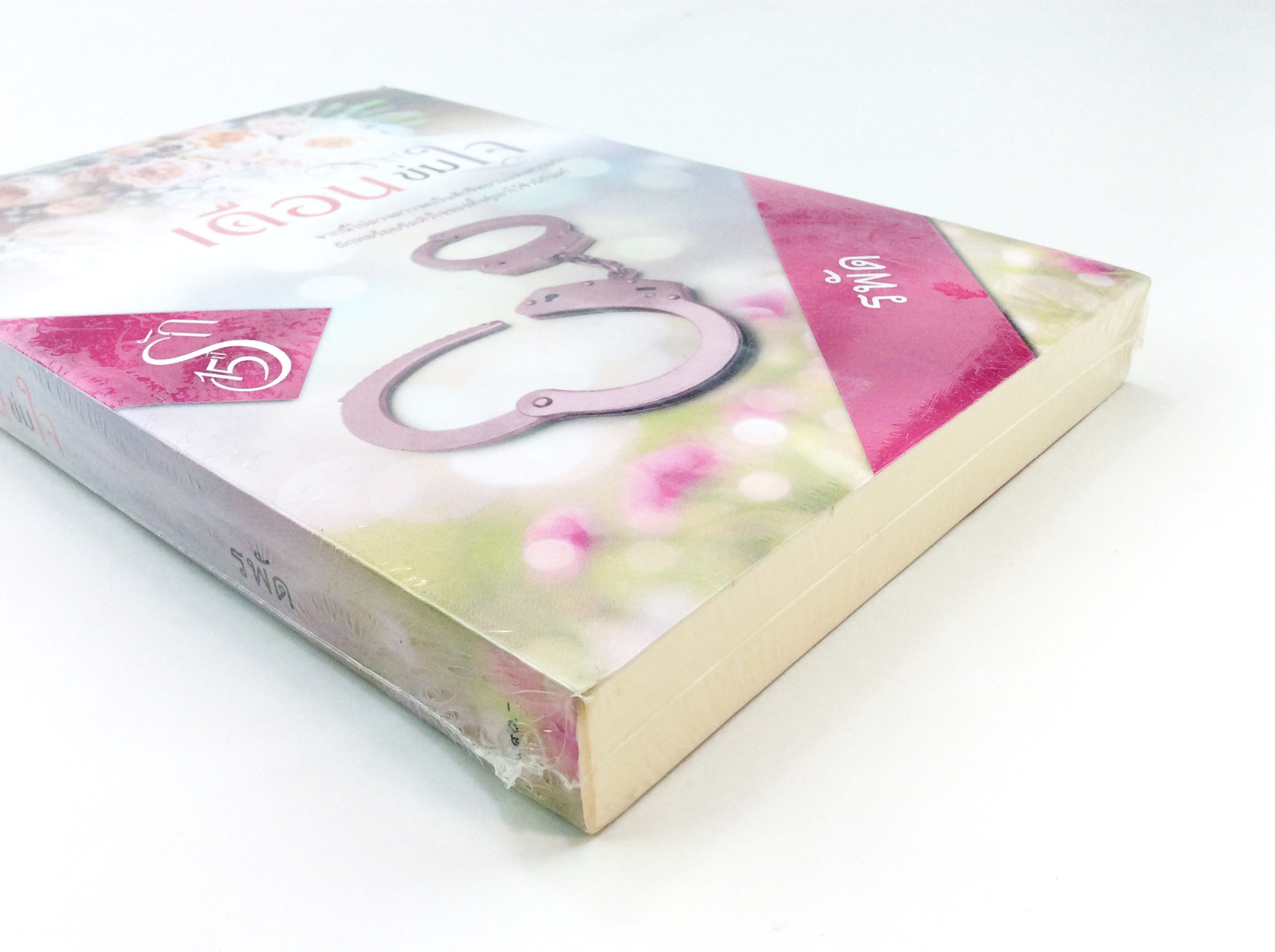 เดือนข่มใจ นิยาย นิยายลดราคา หนังสือนิยาย