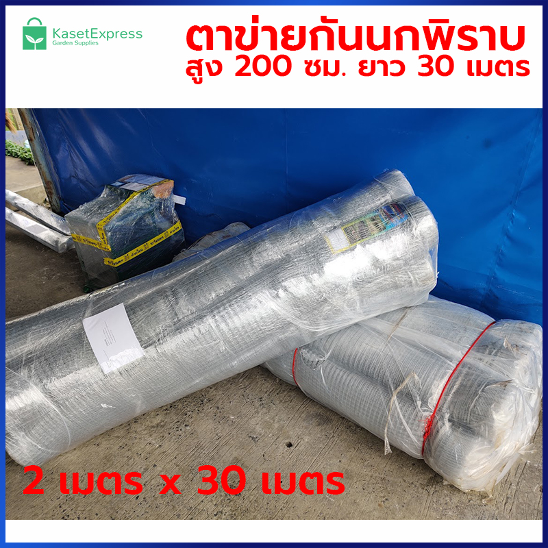 ตาข่ายกันนกพิราบ 2x30 เมตร สีใส - ตาข่ายพลาสติก ตาข่ายกันนก ตาข่ายล้อมไก่ ตาข่ายกันนก ตาข่ายล้อมรั้ว