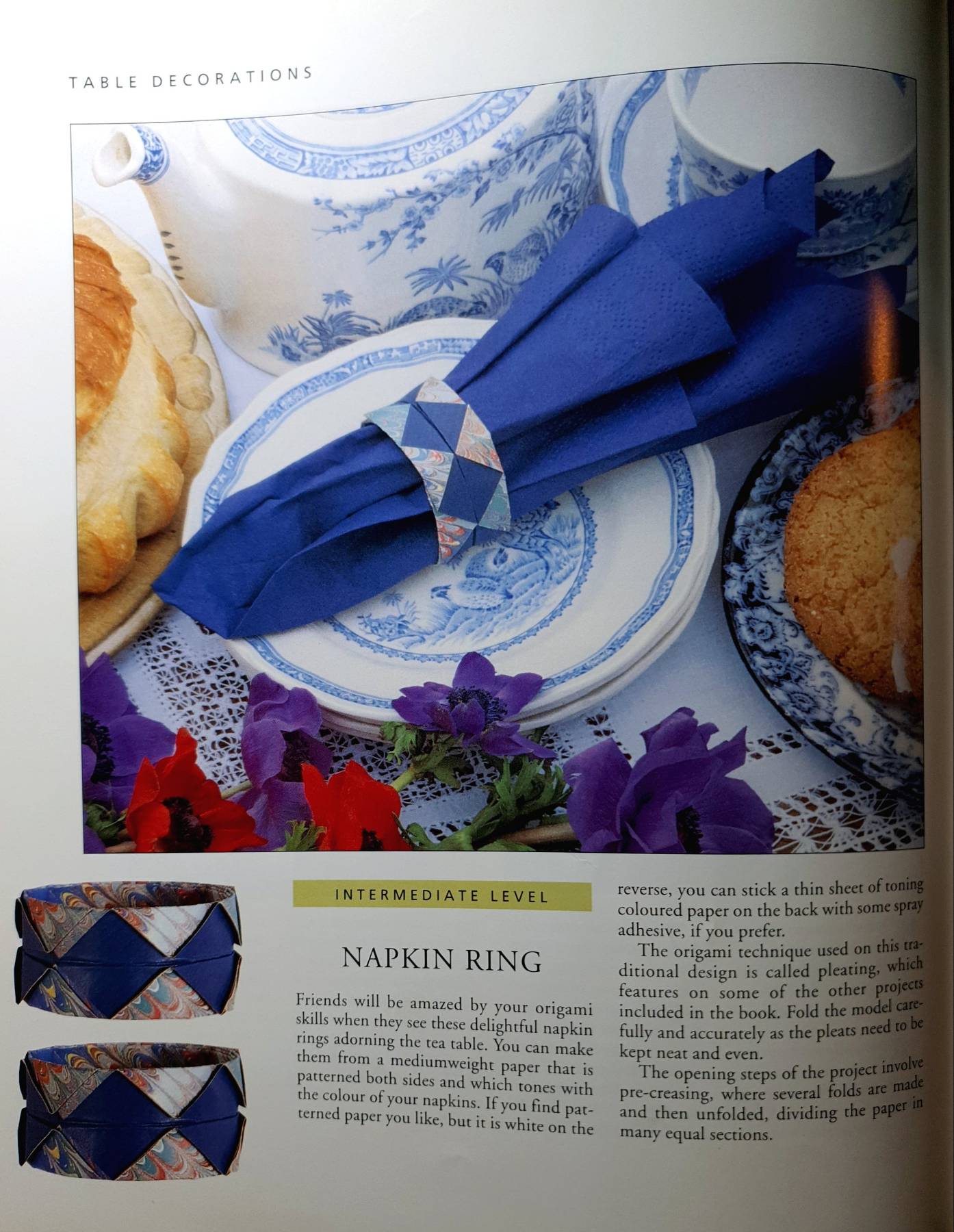 Discover Origami (Discover) : Rick Beech