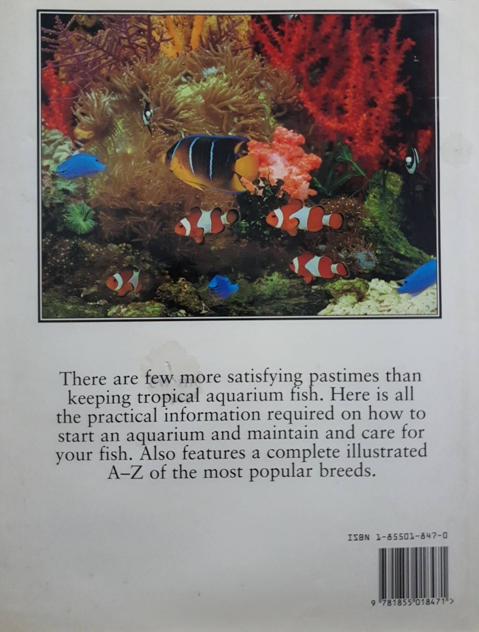 How To Keep Tropical aquarium fish : Jonathan Stuart