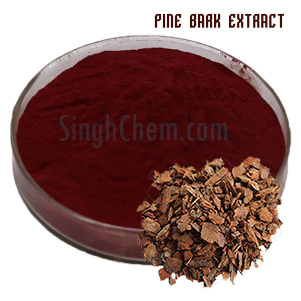 สารสกัดเปลือกสน (Pine Bark Extract)