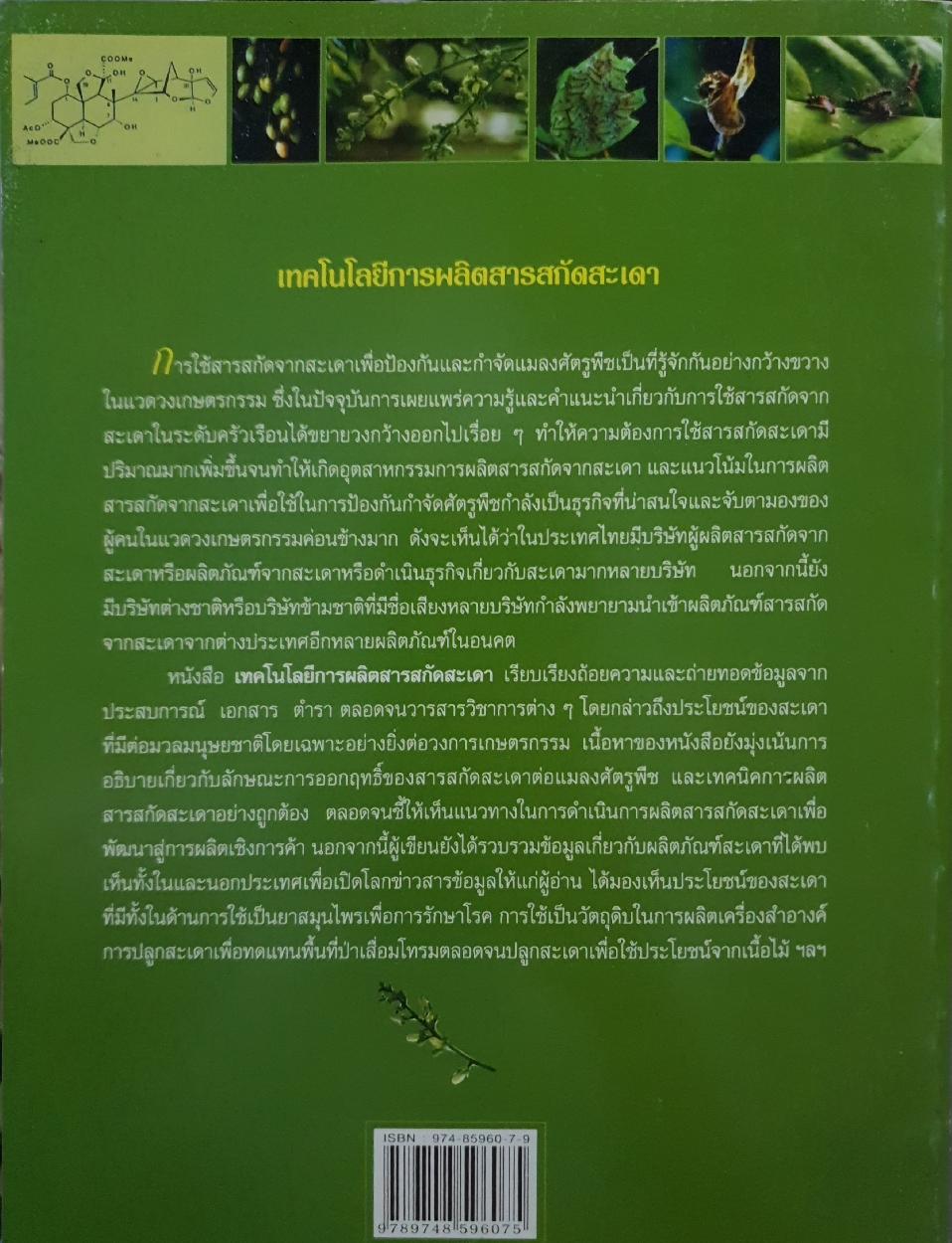 เทคโนโลยีการผลิต สารสกัดสะเดา : อัญชลี สงวนพงษ์