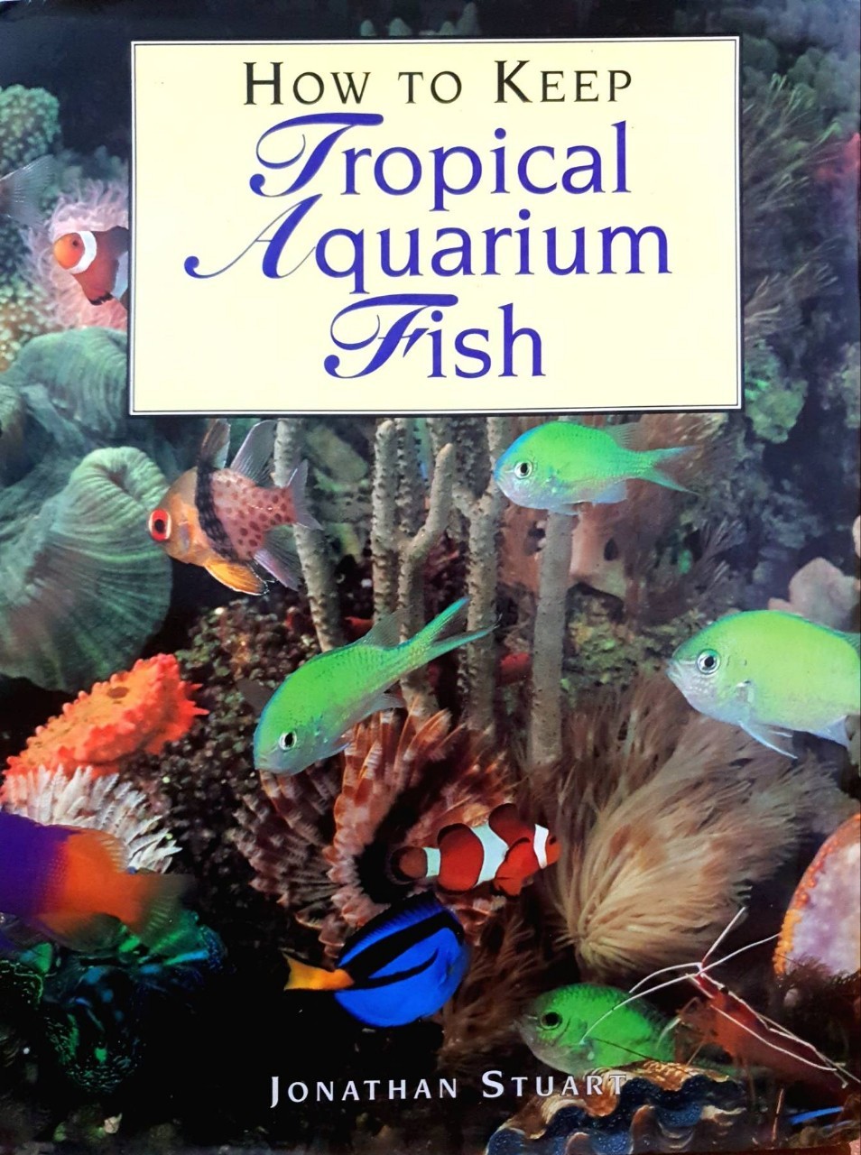 How To Keep Tropical aquarium fish : Jonathan Stuart