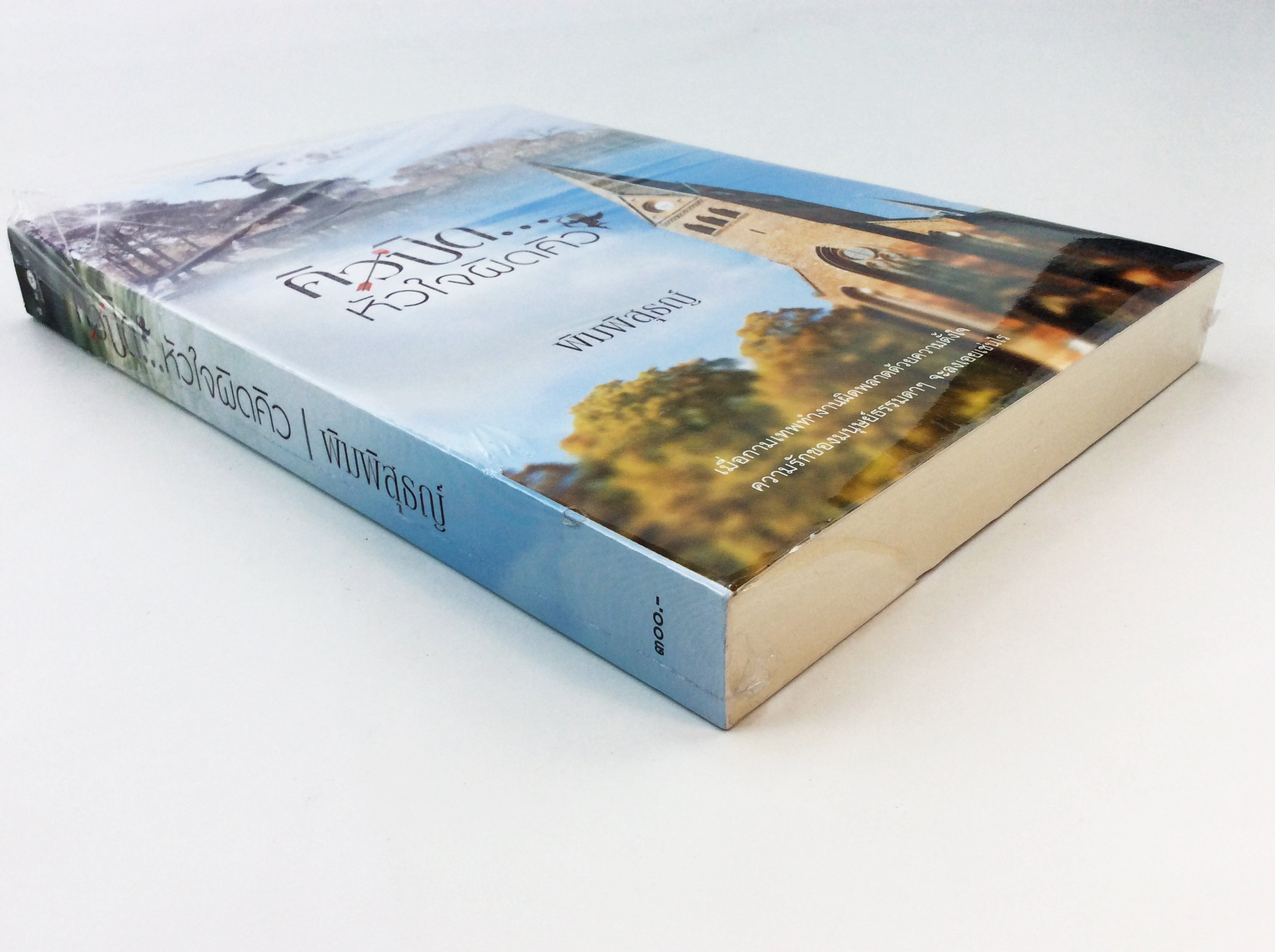 คิวปิด….หัวใจผิดคิว นิยาย นิยายลดราคา หนังสือนิยาย