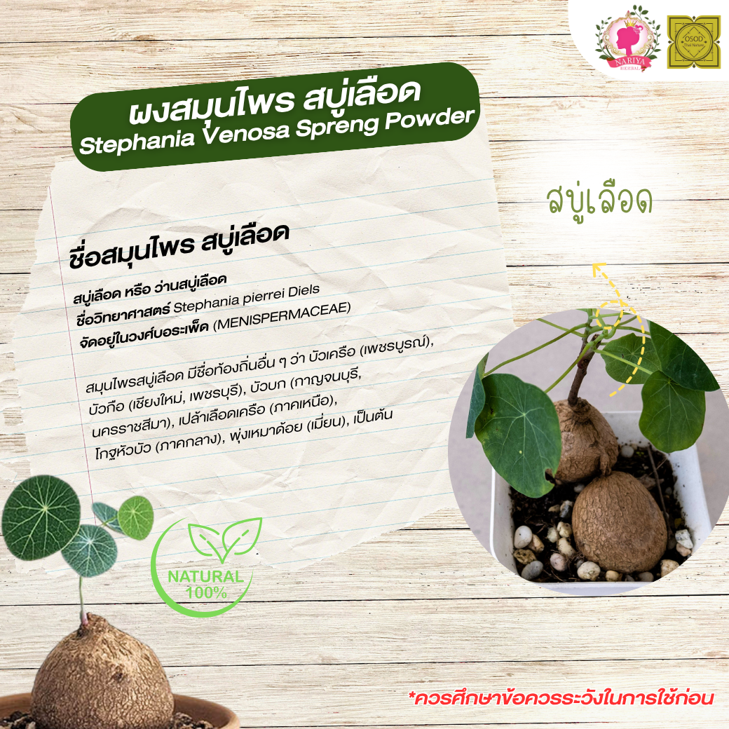ผงสบู่เลือด (Bellyache Bush Powder) ขนาด 500 1000 กรัม สบู่เลือด บดละเอียด สมุนไพร แท้ 100% FG-HBP-093