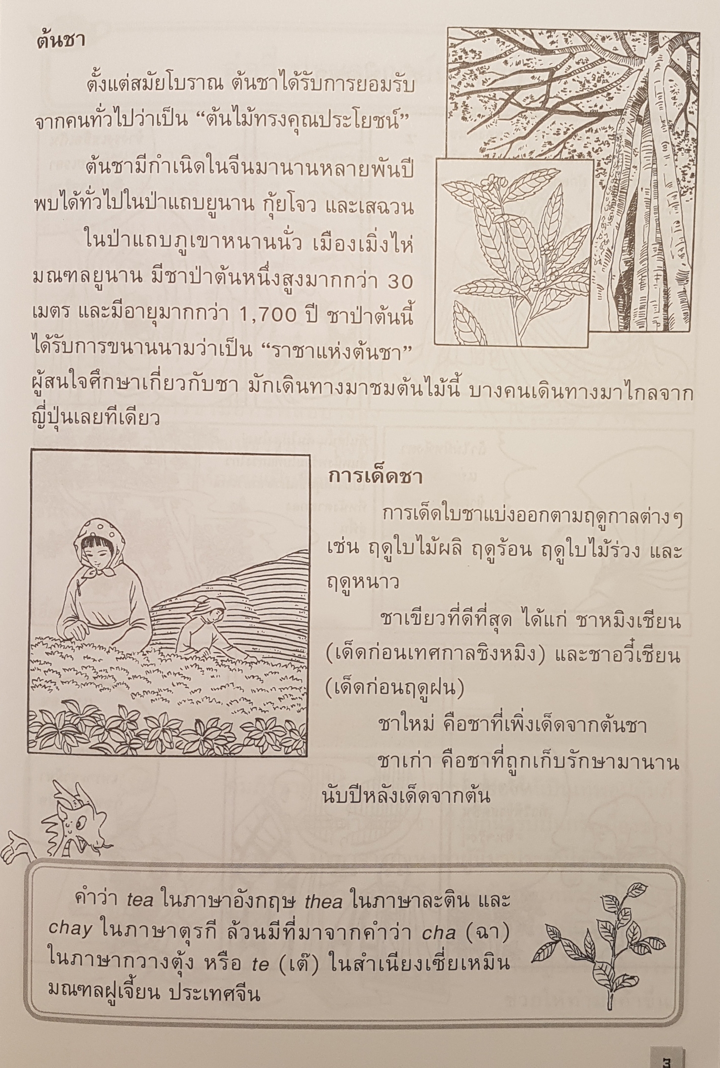 1.ต้นกำเนิดอาหาร 2.ต้นกำเนิด ชาและเหล้าจีน