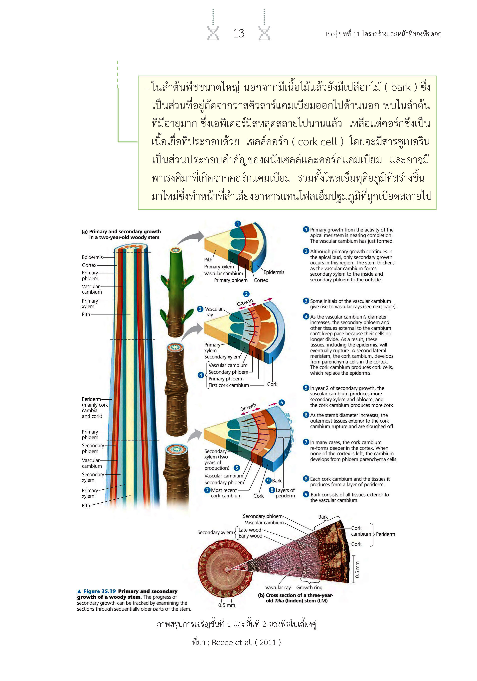 สรุปเข้ม ชีววิทยา เล่ม 2 (พิมพ์ 4 สี)