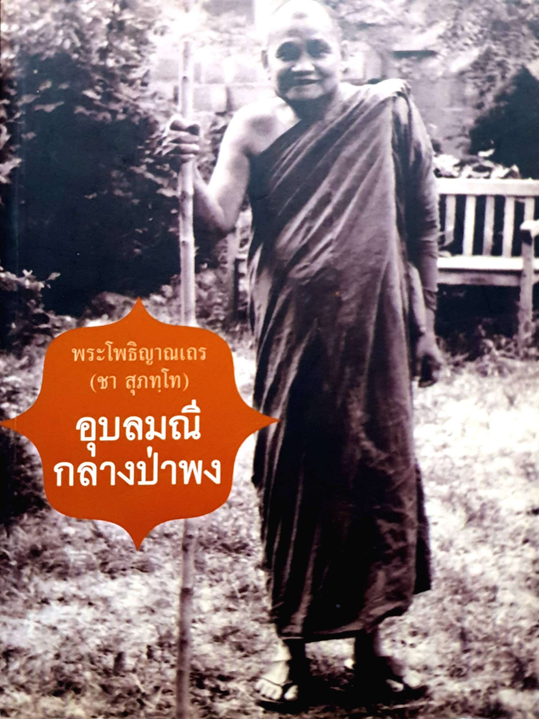 อุบลมณี กลางป่าพง : พระโพธิญาณเถร (ชา สุภทฺโท)
