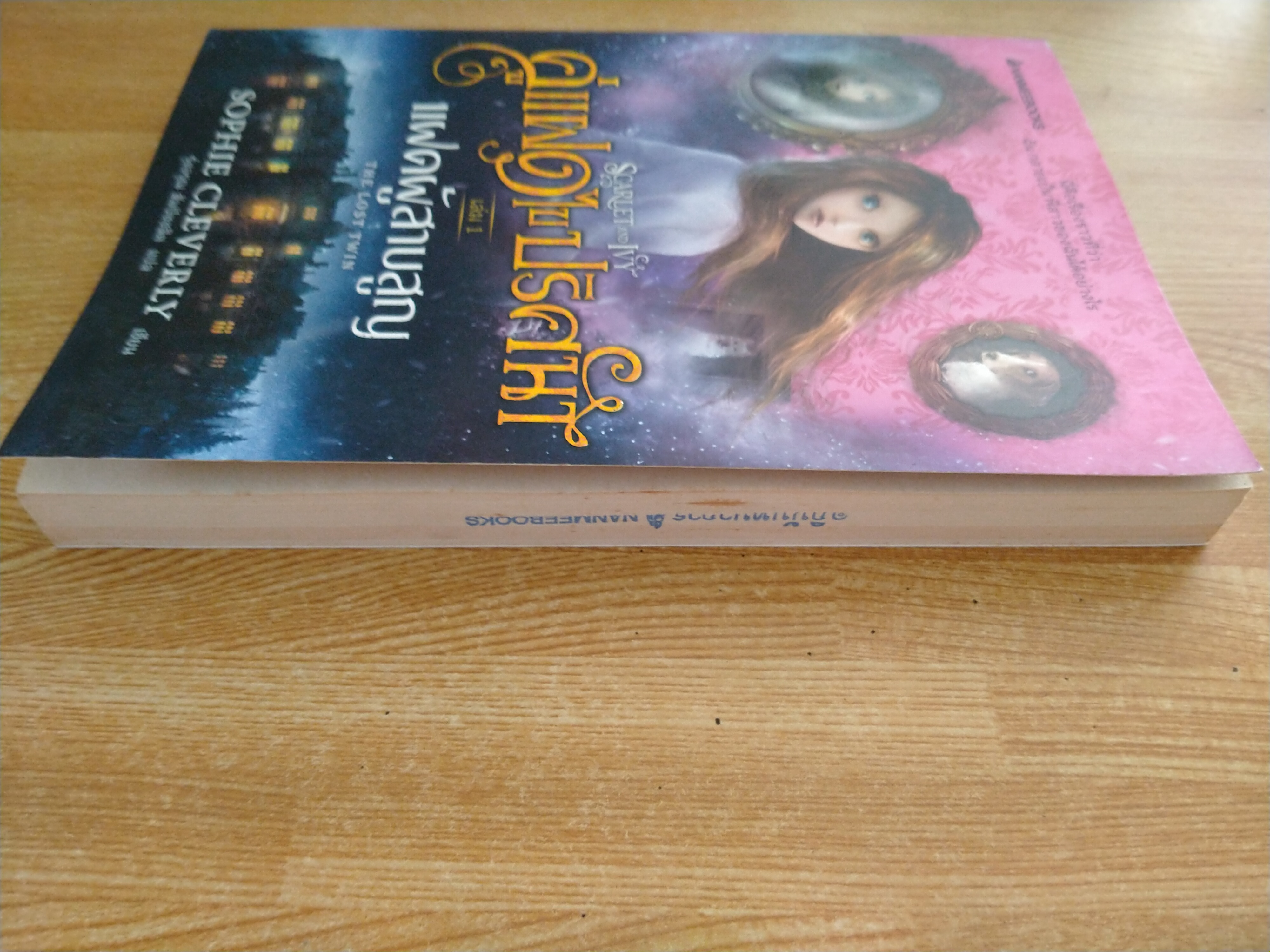 คู่แฝดไขปริศนา เล่ม1 แฝดผู้สาบสูญ