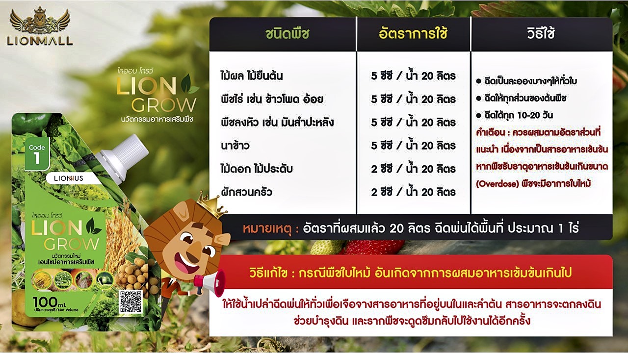 Lion Green + Lion Grow นวัตกรรมอาหารเสริม บำรุงพืชจากธรรมชาติ ช่วยลดต้นทุน เพิ่มผลผลิต และปลอดภัยต่อสิ่งแวดล้อม Lion Green + Lion Grow นวัตกรรมอาหารเสริม บำรุงพืชจากธรรมชาติ ช่วยลดต้นทุน เพิ่มผลผลิต และปลอดภัยต่อสิ่งแวดล้อม