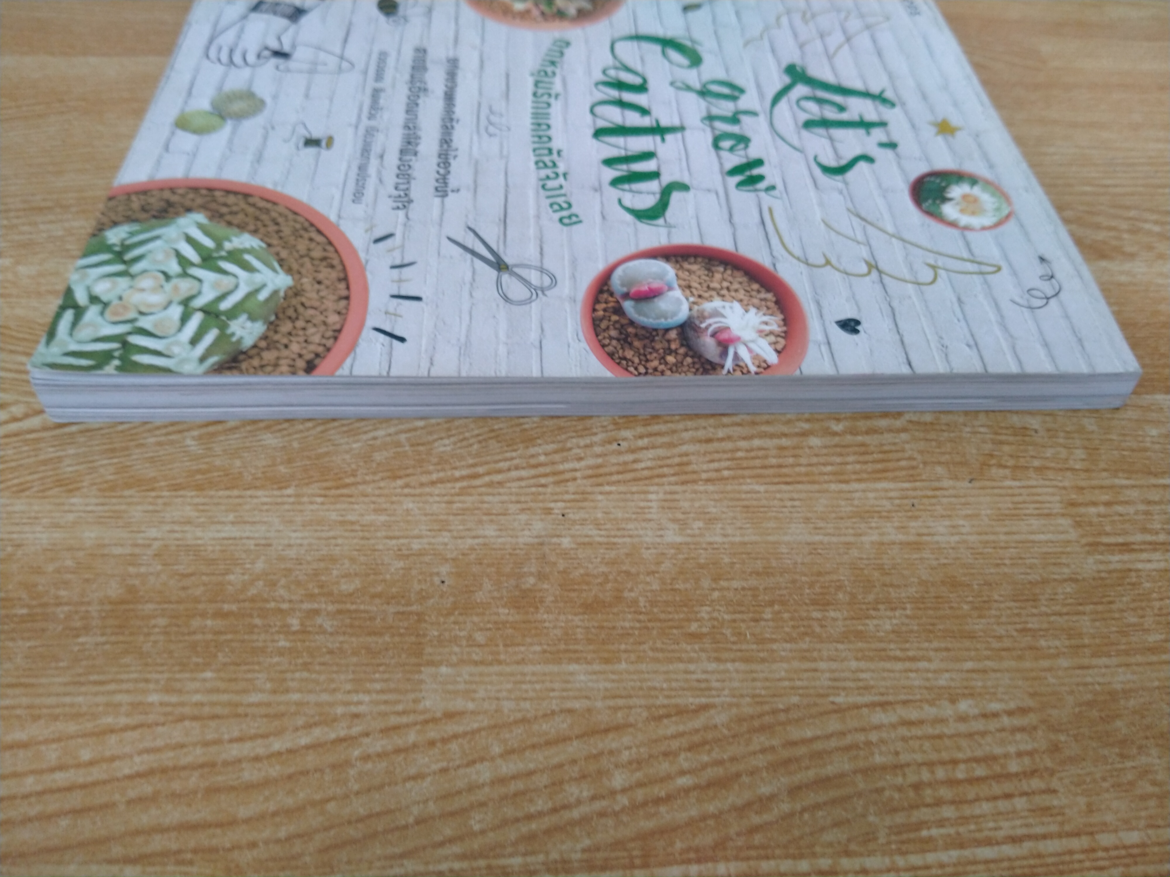 ตกหลุมรักแคคตัสจังเลย