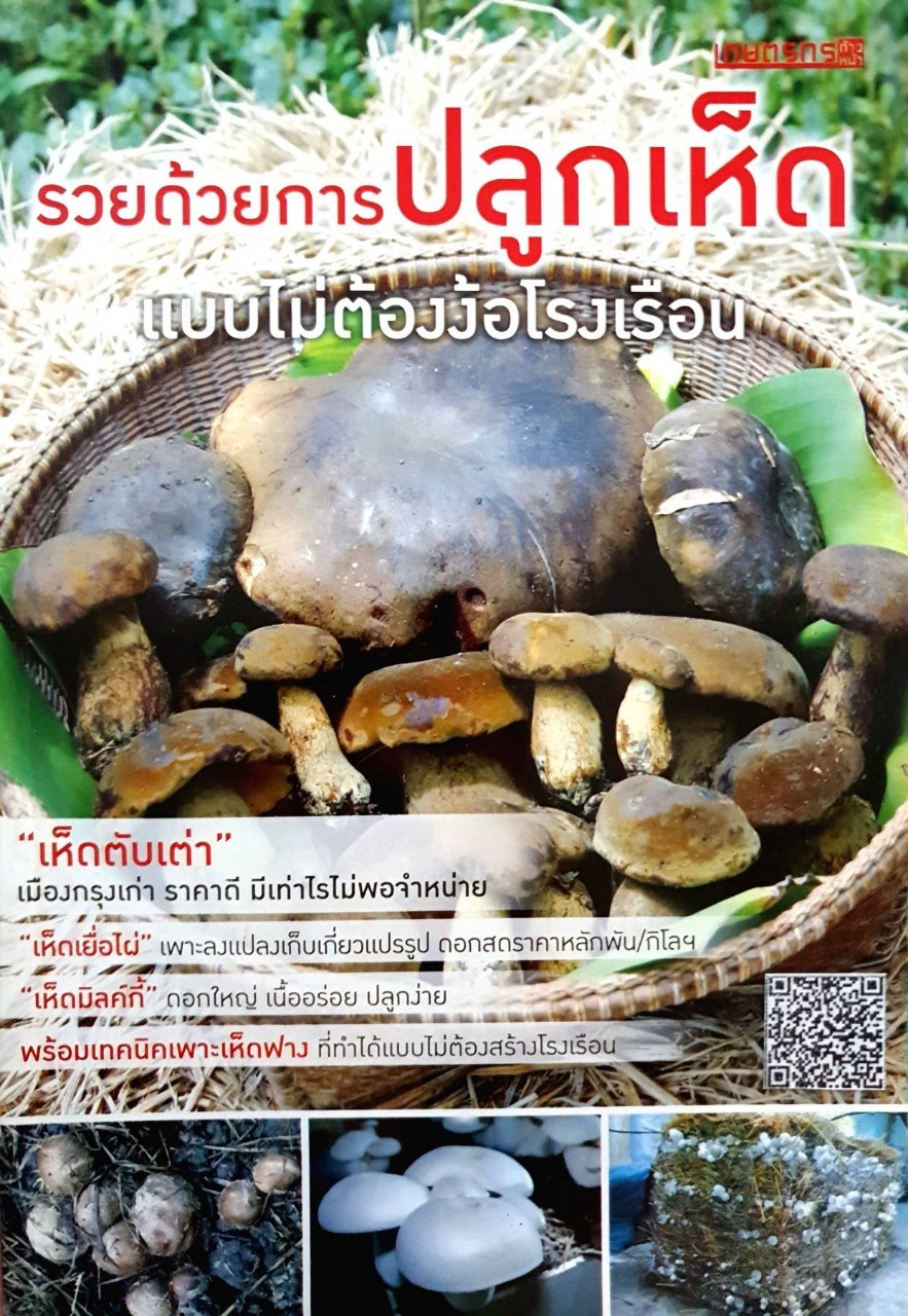 รวยด้วยการปลูกเห็ด แบบไม่ต้องง้อโรงเรือน : เกษตรกรก้าวหน้า