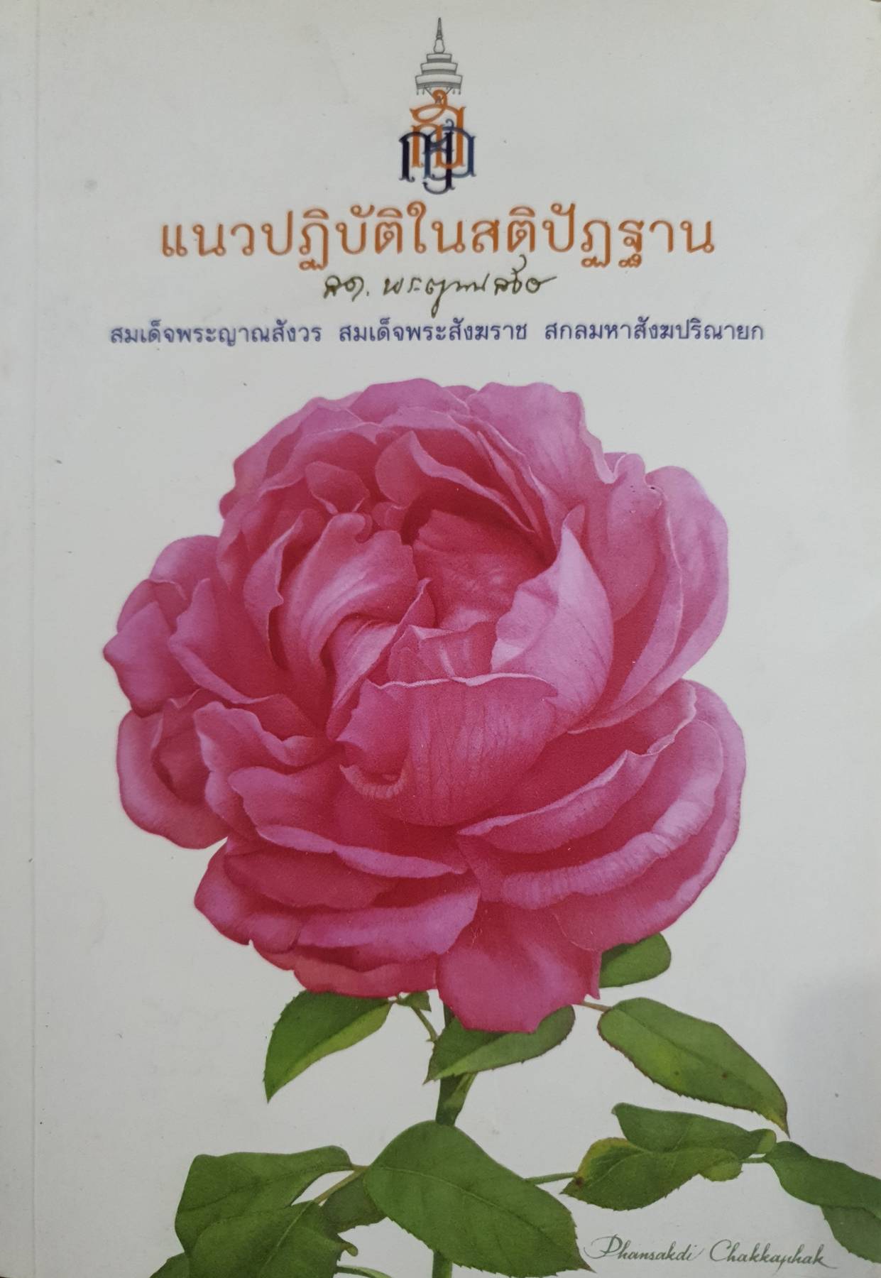 แนวปฏิบัติในสติปัฏฐาน สมเด็จพระญาณสังวร สมเด็จพระสังฆราช สกลมหาสังฆปริณายก