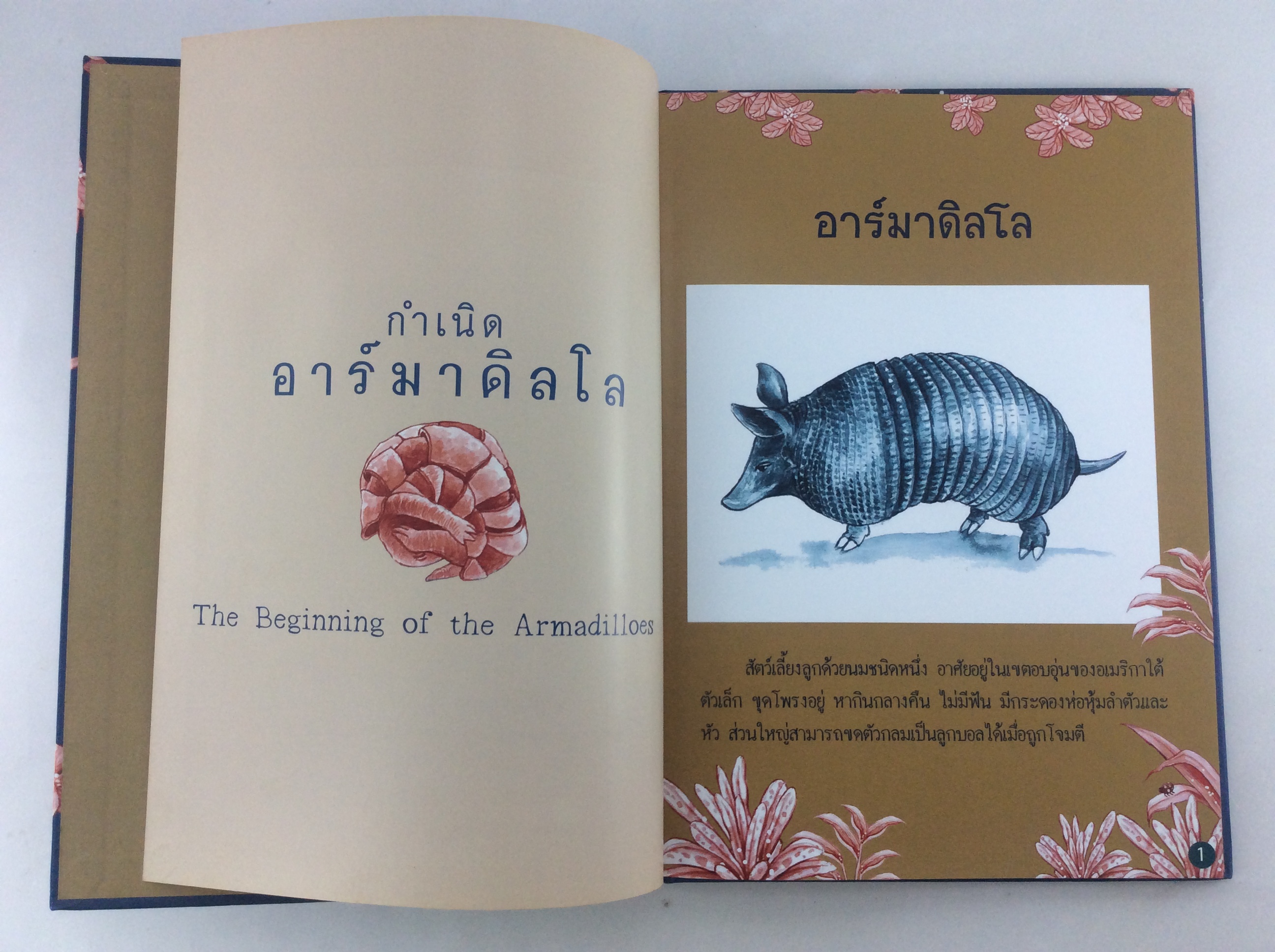 กำเนิดอาร์มาดิลโล วรรณกรรม วรรณกรรมเยาวชน หนังสือหายาก หนังสือสะสม