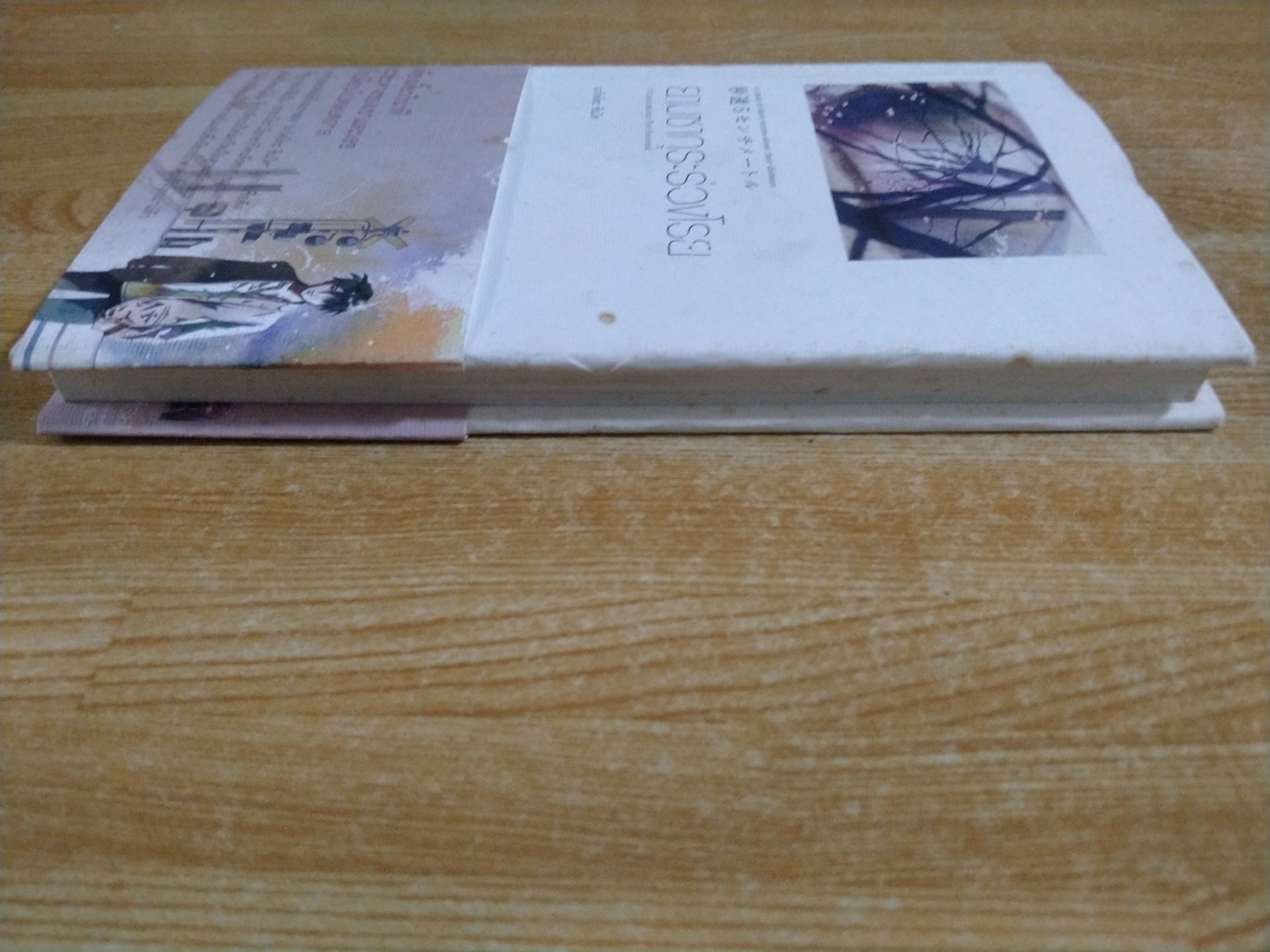 ยามซากุระร่วงโรย