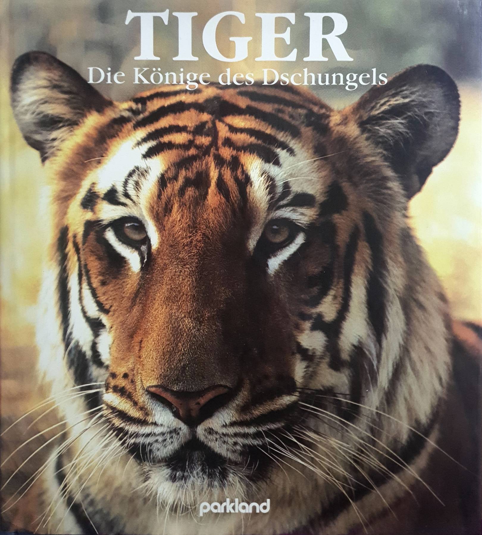 Tigers : A Look into the Glittering Eye by Lee Server (1992, Hardcover)