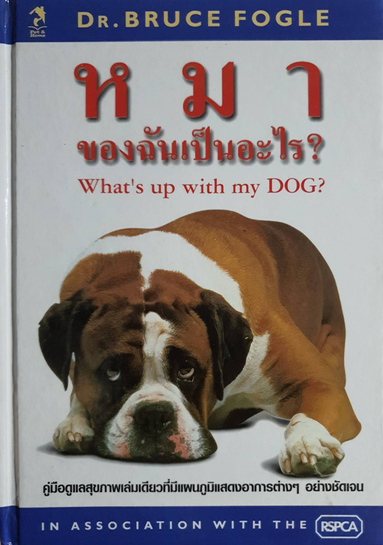 หมา ของฉันเป็นอะไร? What's up with my DOG?