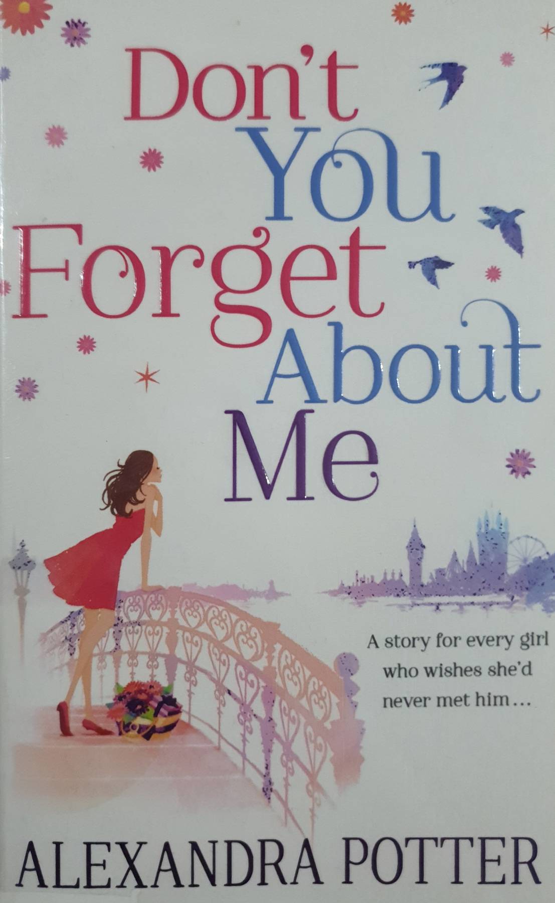 Don't You Forget About Me Paperback – Big Book, by Alexandra Potter