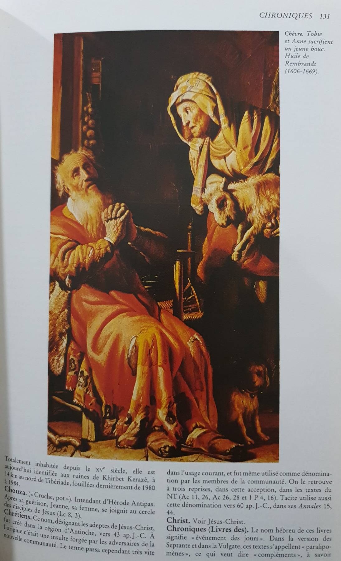 DICTIONNAIRE ILLUSTRÉ DE LA BIBLE (French Edition) Hardcover