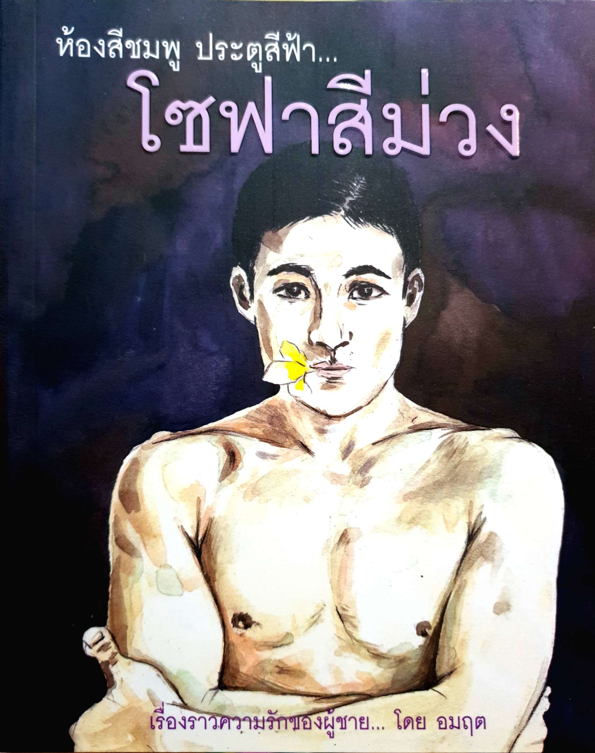 ห้องสีชมพู ประตูสีฟ้า.. โซฟาสีม่วง