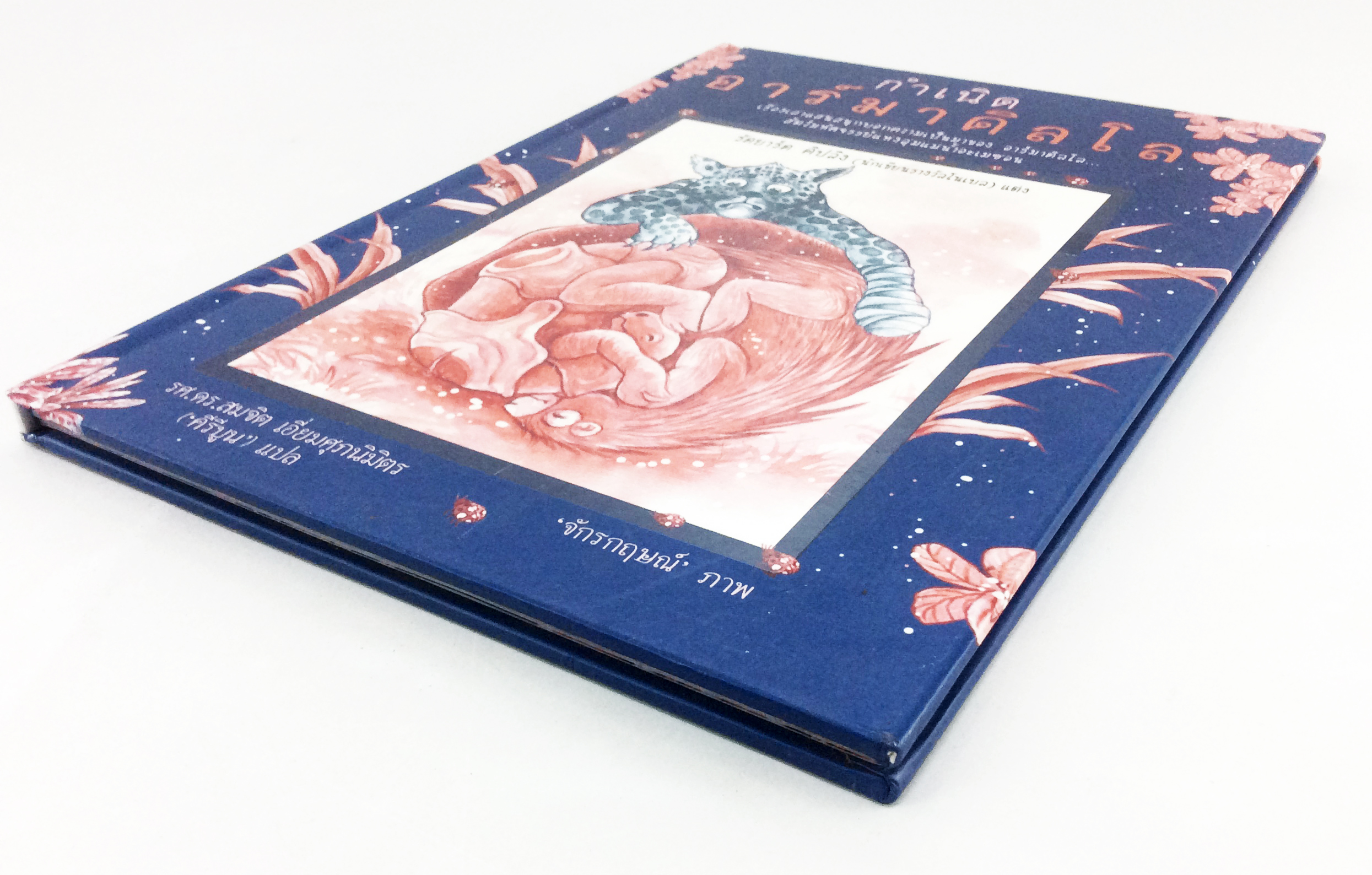 กำเนิดอาร์มาดิลโล วรรณกรรม วรรณกรรมเยาวชน หนังสือหายาก หนังสือสะสม