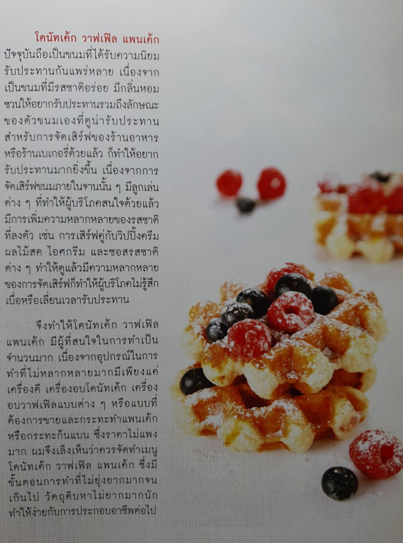 โดนัท-วาฟเฟิล-แพนเค้ก ผู้เขียน: อภิสิทธิ์ ประสงค์สุข (หมูเก่ง)