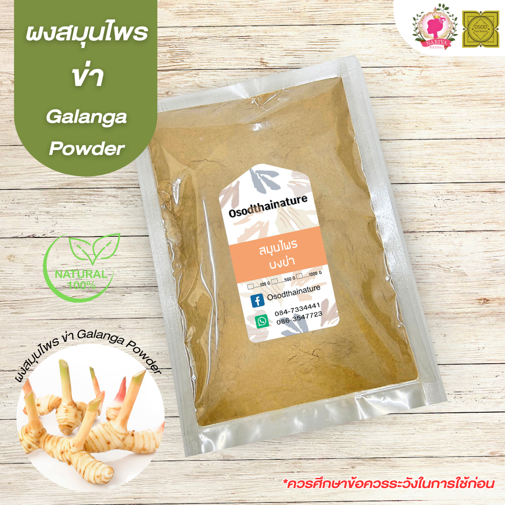 ผงข่า (Galanga Powder) ขนาด 500 1000 กรัม ข่า บดละเอียด สมุนไพร แท้100% FG-HBP-021