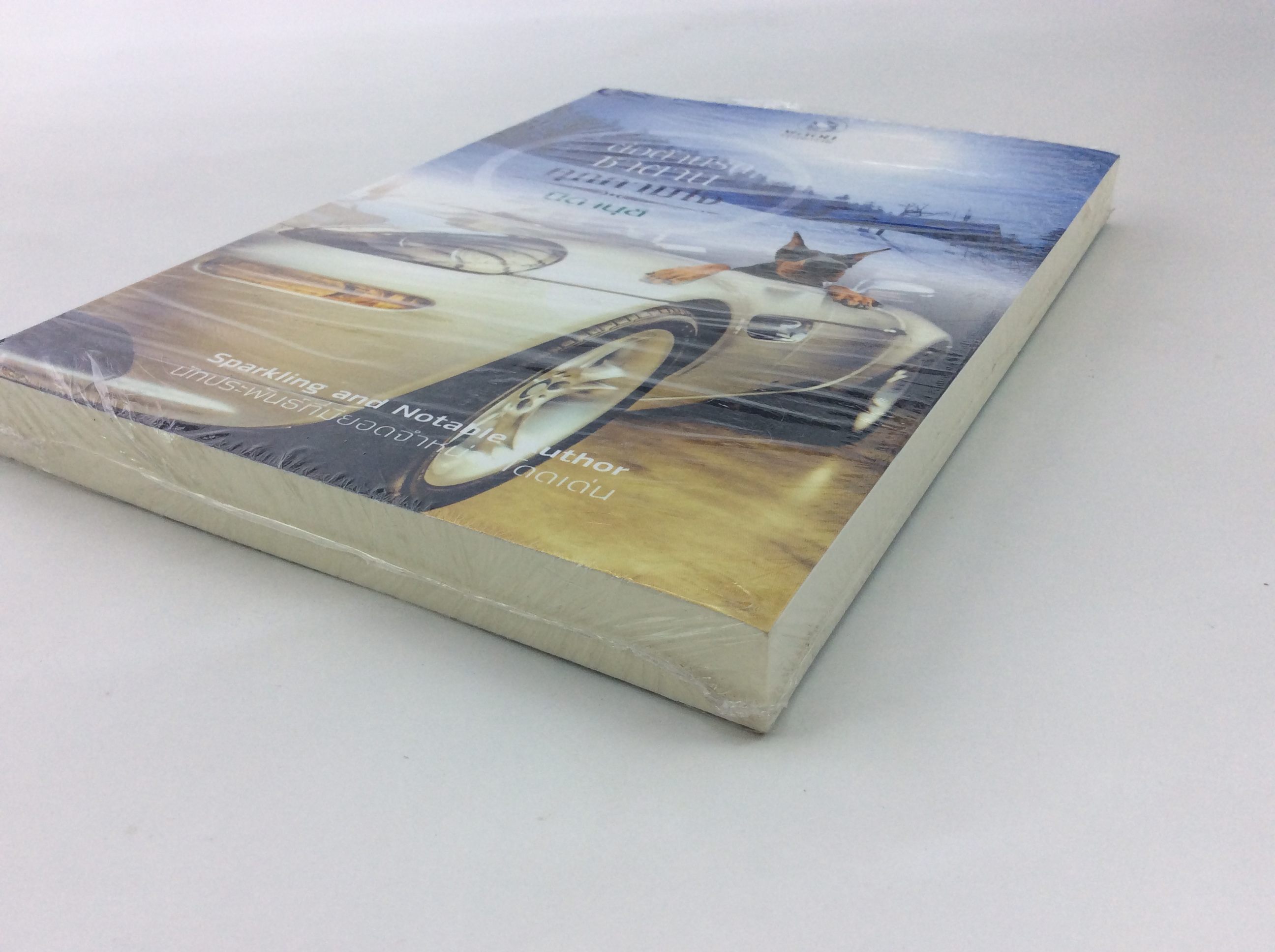 ต่อต้านรักซาตานคุกคามใจ หนังสือ นิยาย นิยายลดราคา หนังสือนิยาย