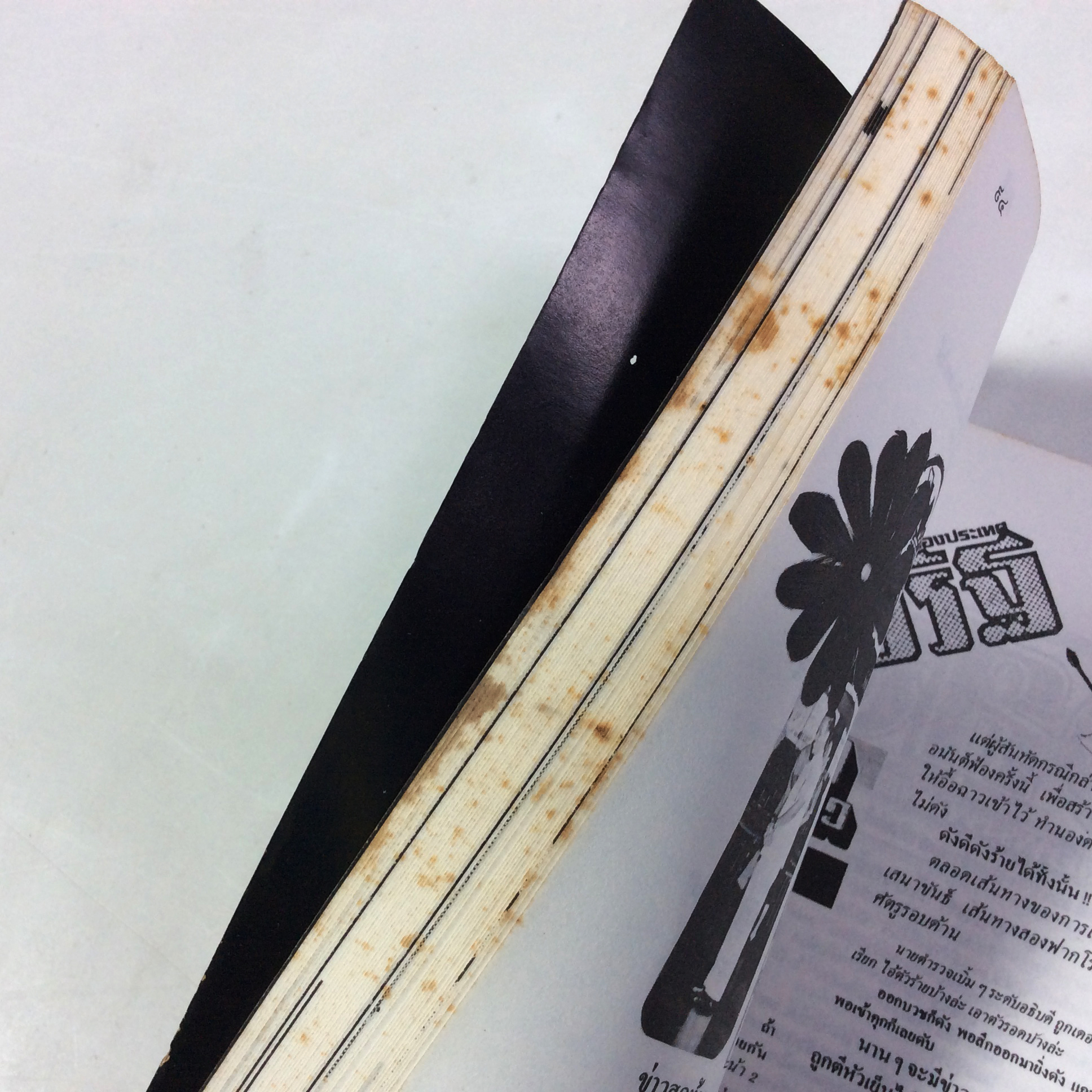 อเวจีที่ลาดยาว หนังสือหายาก หนังสือสะสม หนังสือเก่า คุ้มอักษรไทย สังคมการเมือง หนังสือ [คุ้มอักษรไทย]