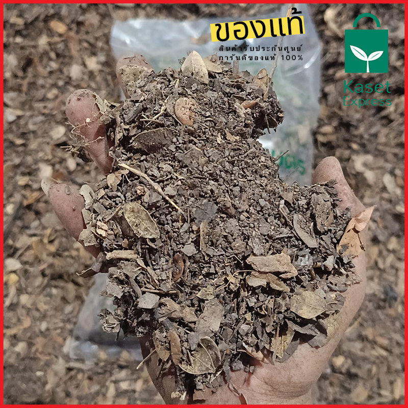 จำหน่ายใบก้ามปูราคาส่ง ใบก้ามปูราคาโรงงาน จัดส่งทั่วประเทศ พร้อมรถขนส่งครบทุกประเภท