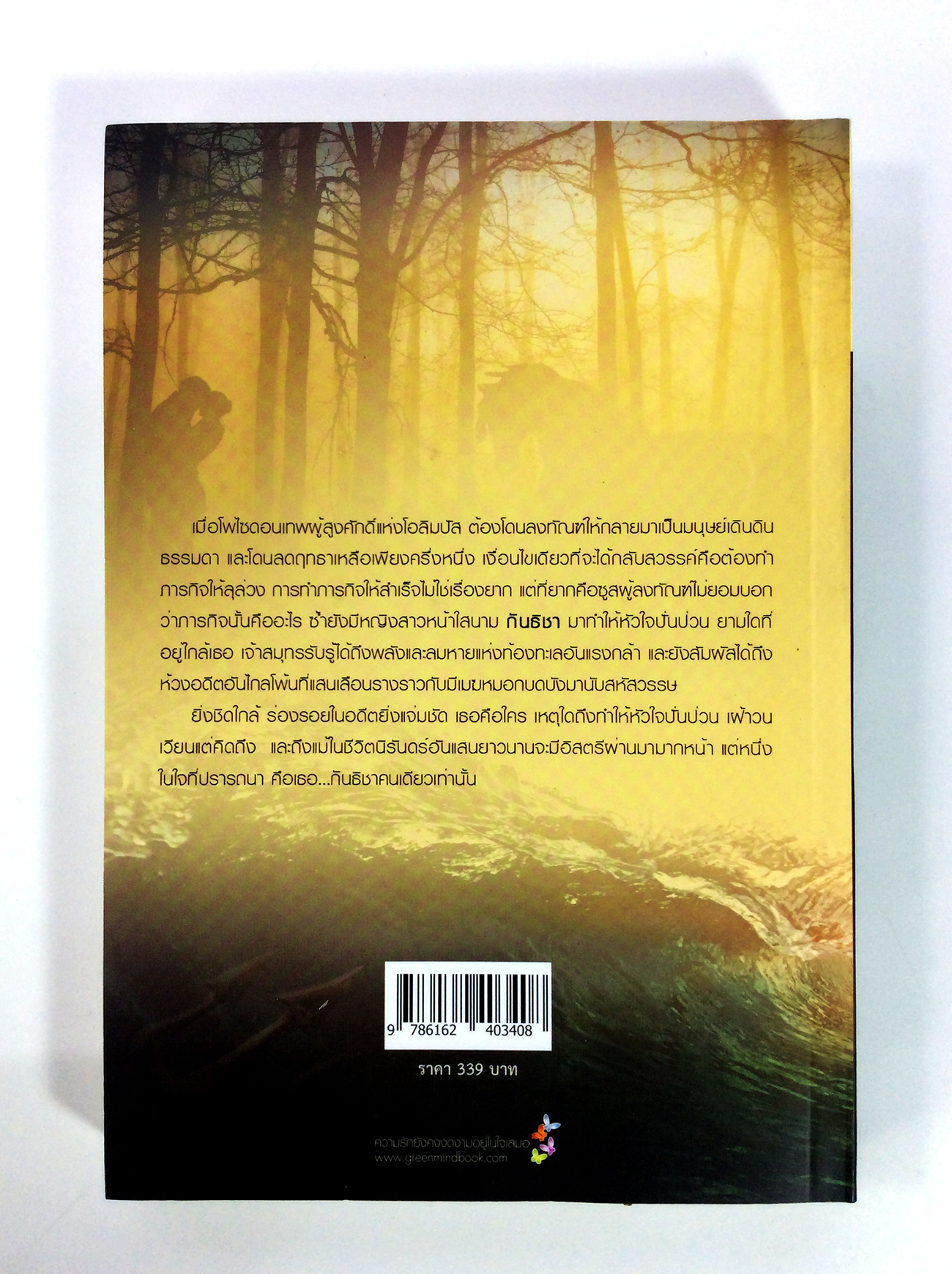 ม่านนทีปรารถนา นิยาย นิยายแฟนตาซี หนังสือ หนังสือมือหนึ่ง