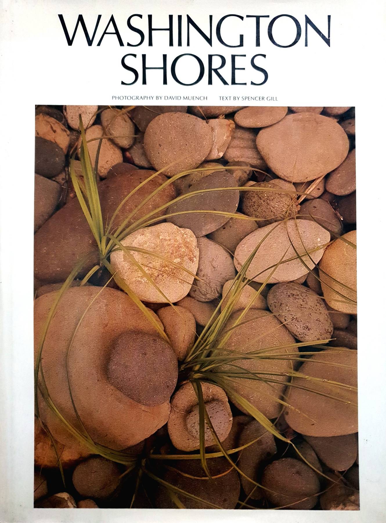 Washington shores by David Muench