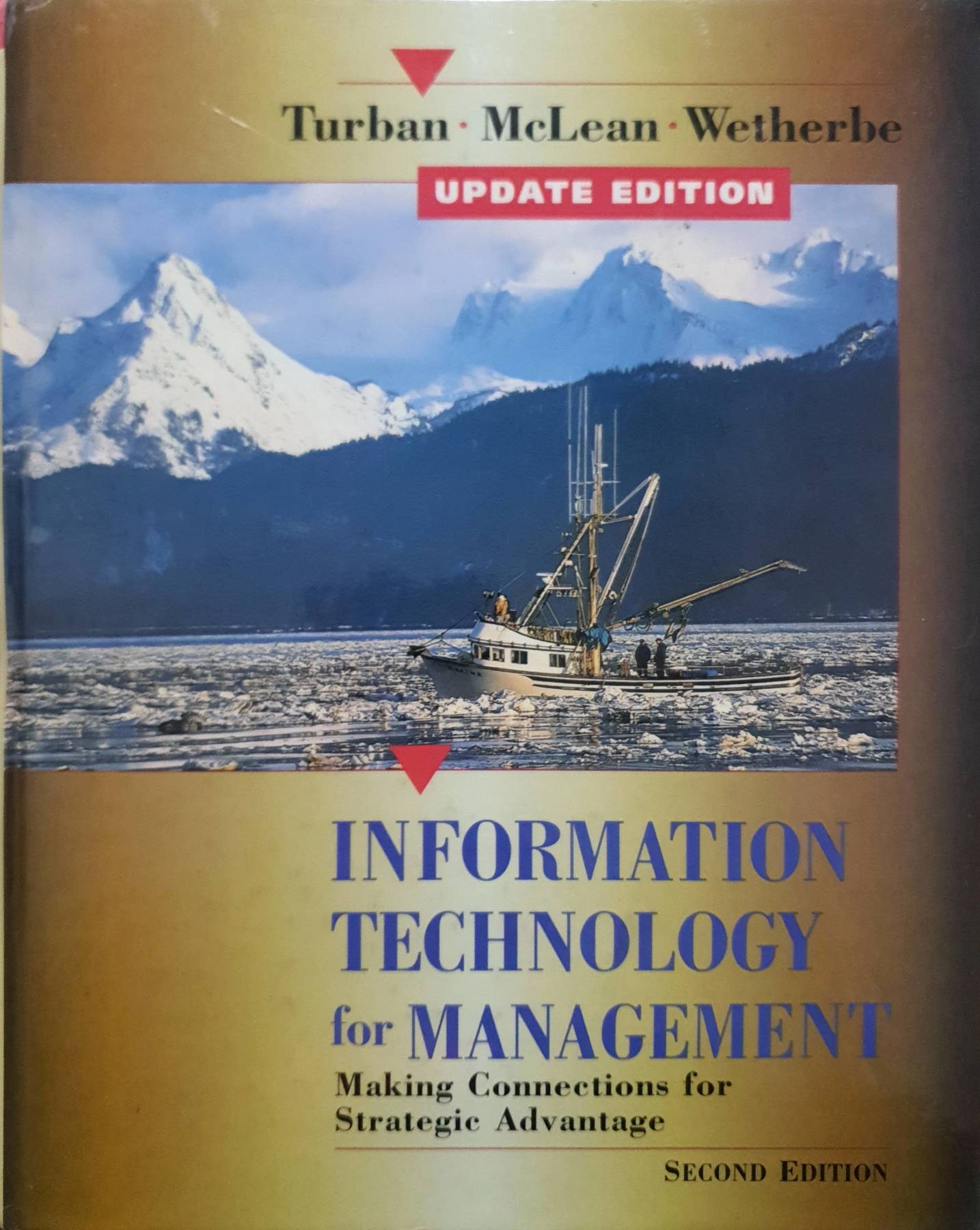 Information Technology for Management : Turba