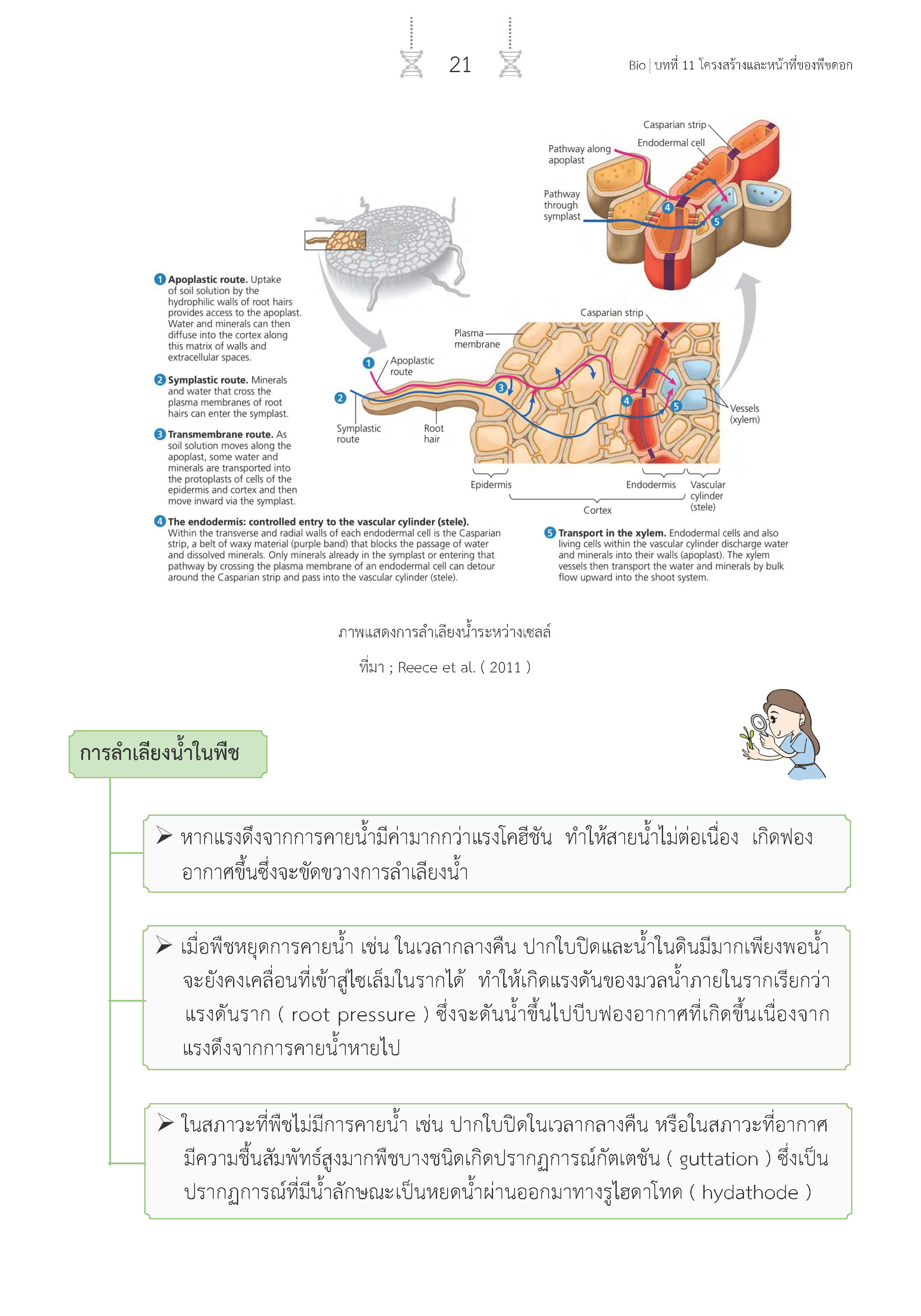 สรุปเข้ม ชีววิทยา เล่ม 2 (พิมพ์ 4 สี)